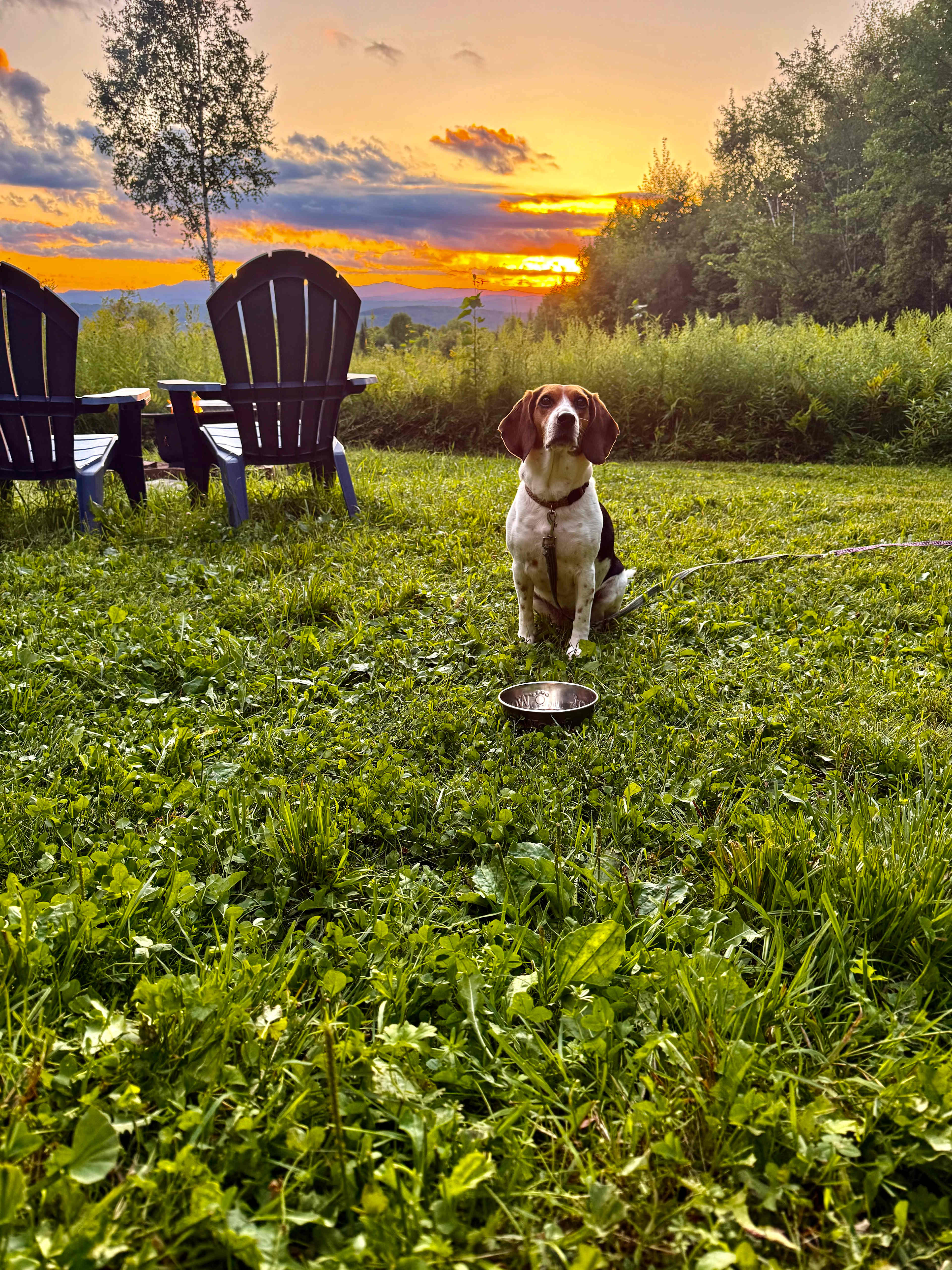 Vermont Rustic Retreat