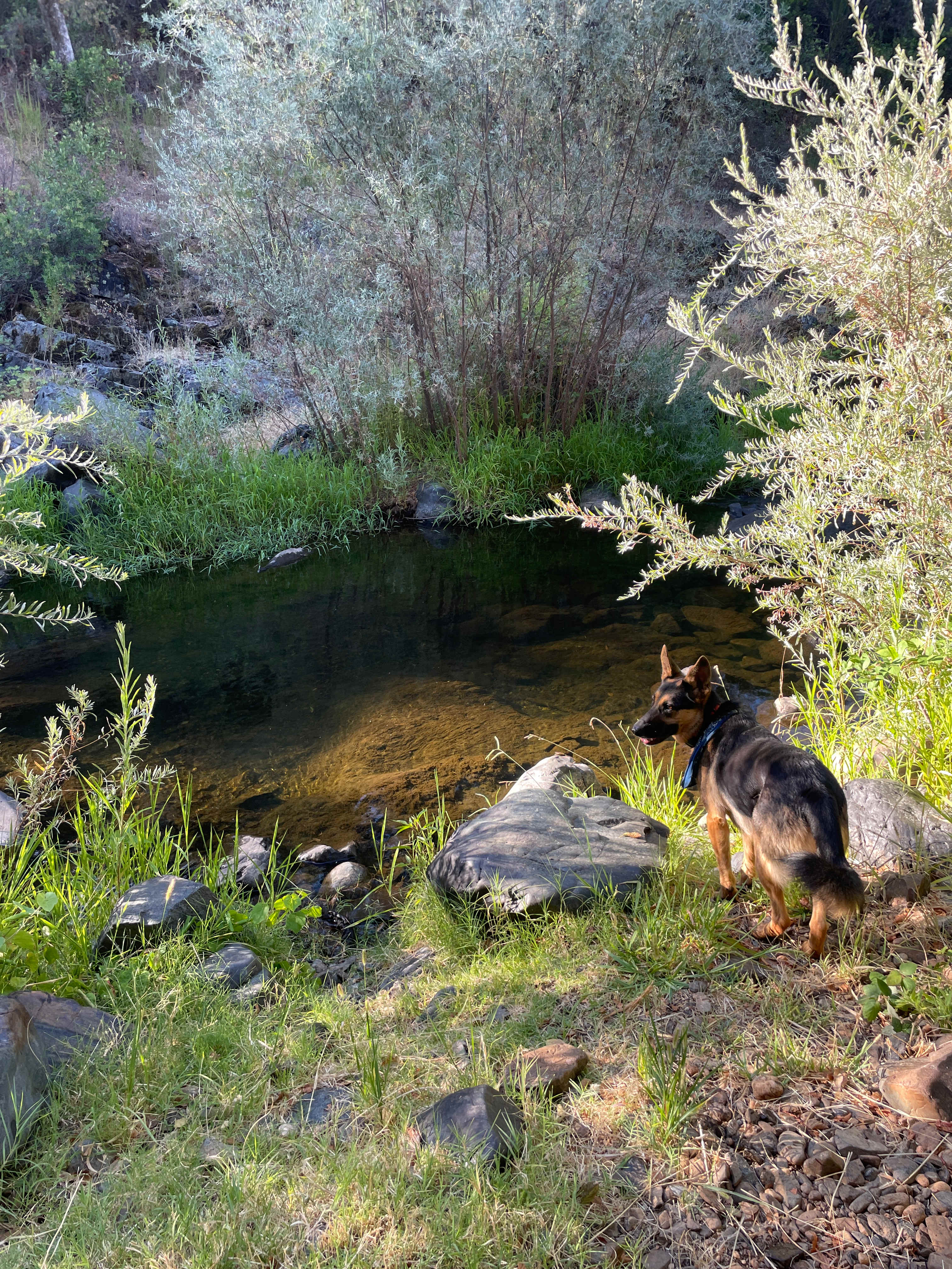 Perfect Getaway with Private Creeks