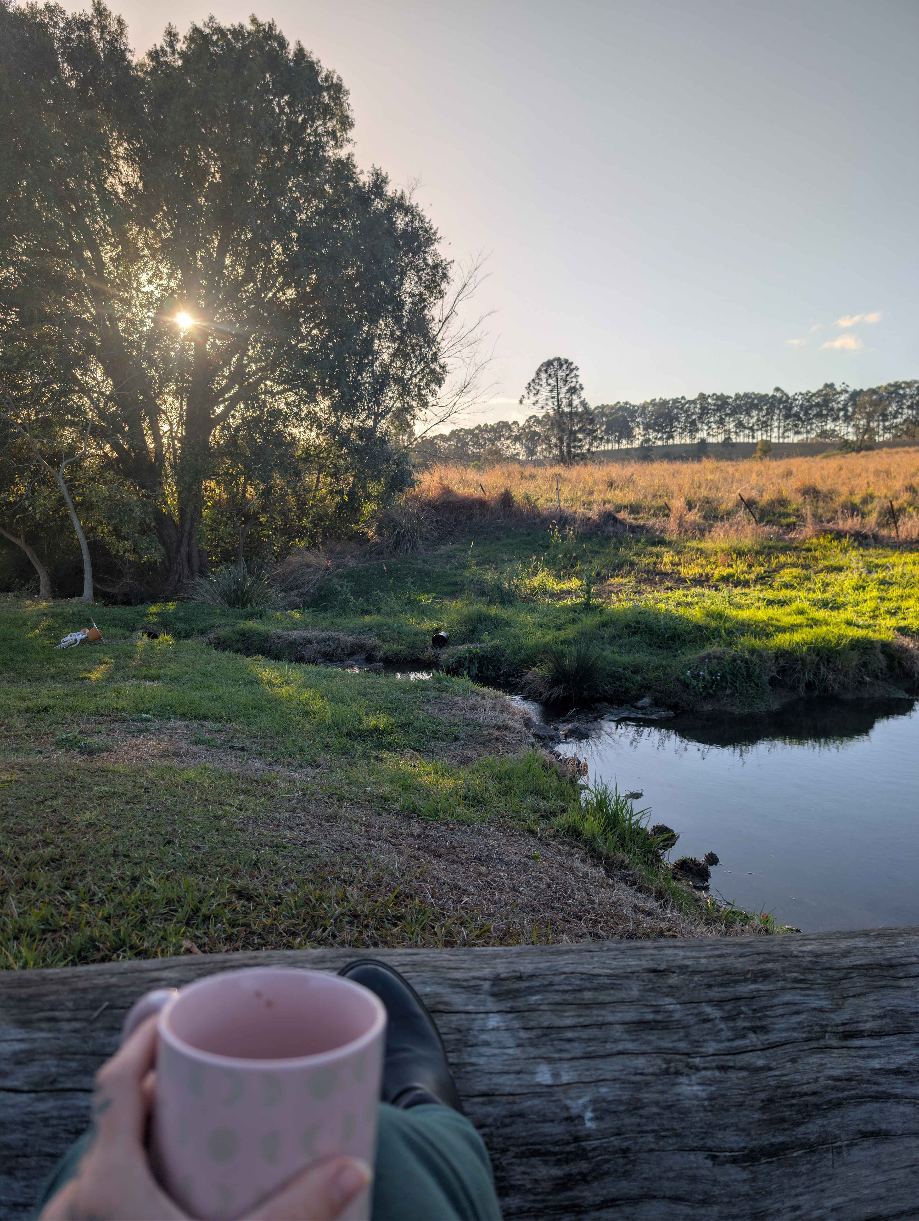 Abide Eden Camping