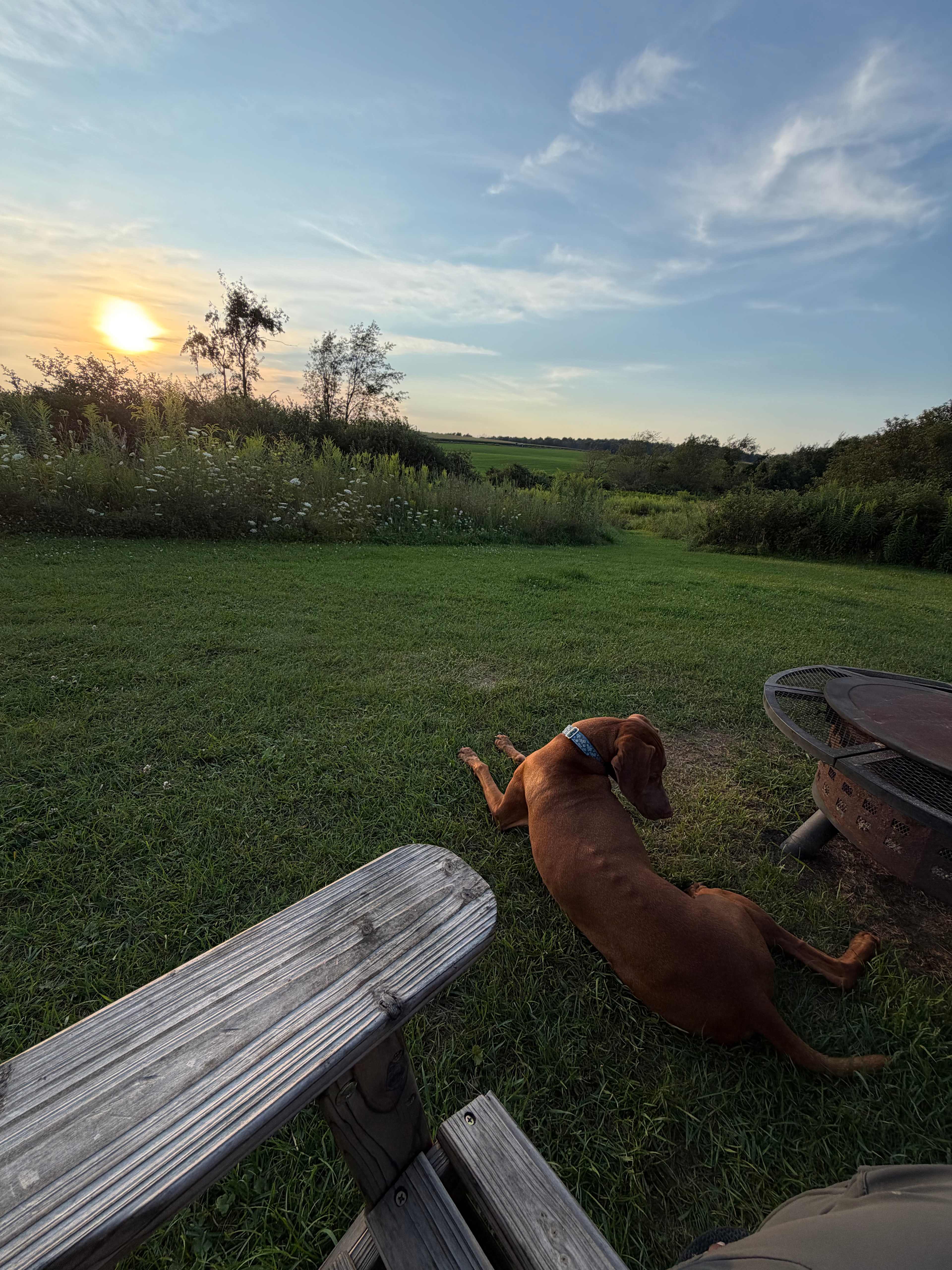 Glamping in Perry Near Letchworth
