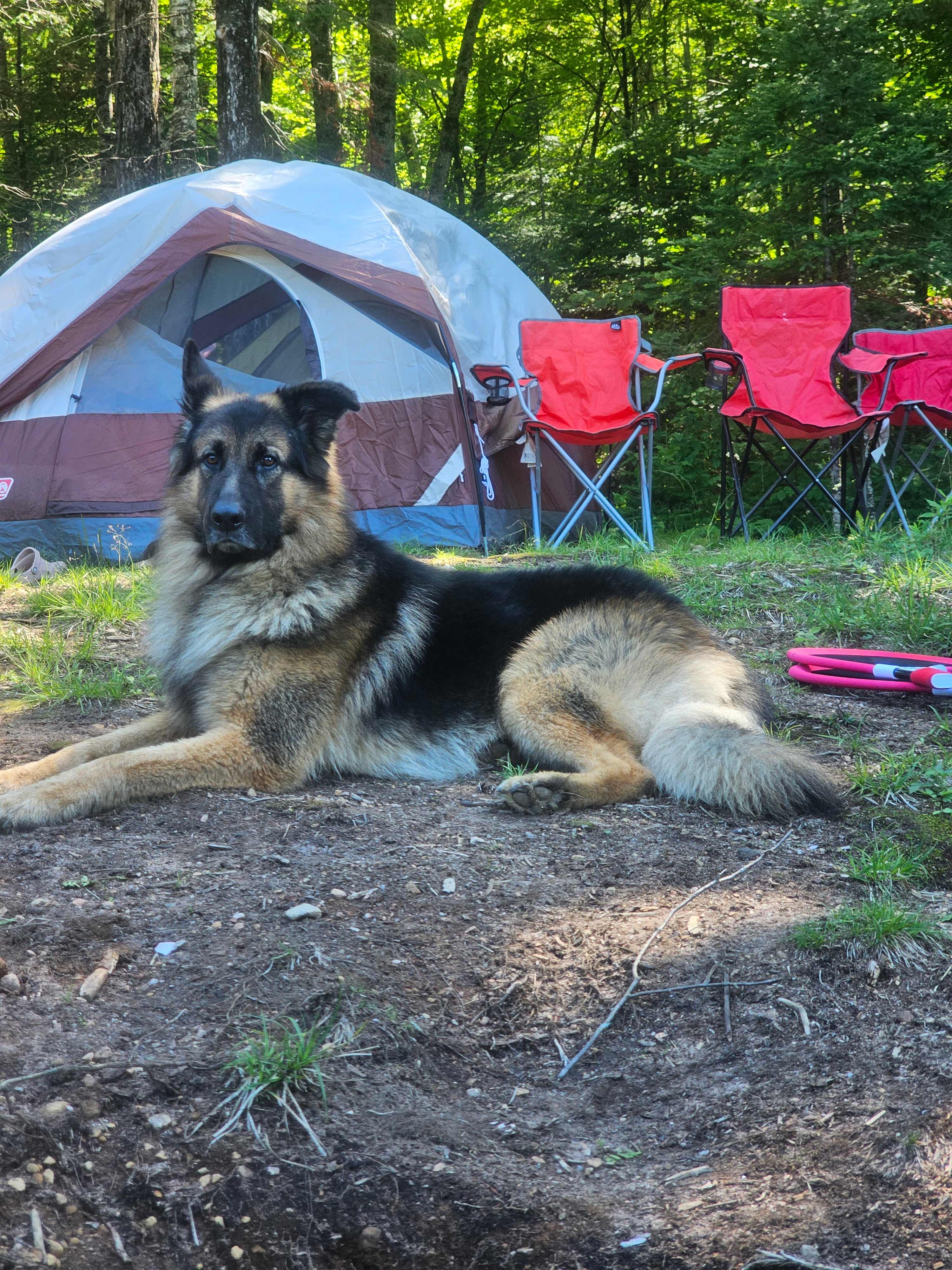 Ball Lake Tent Camping