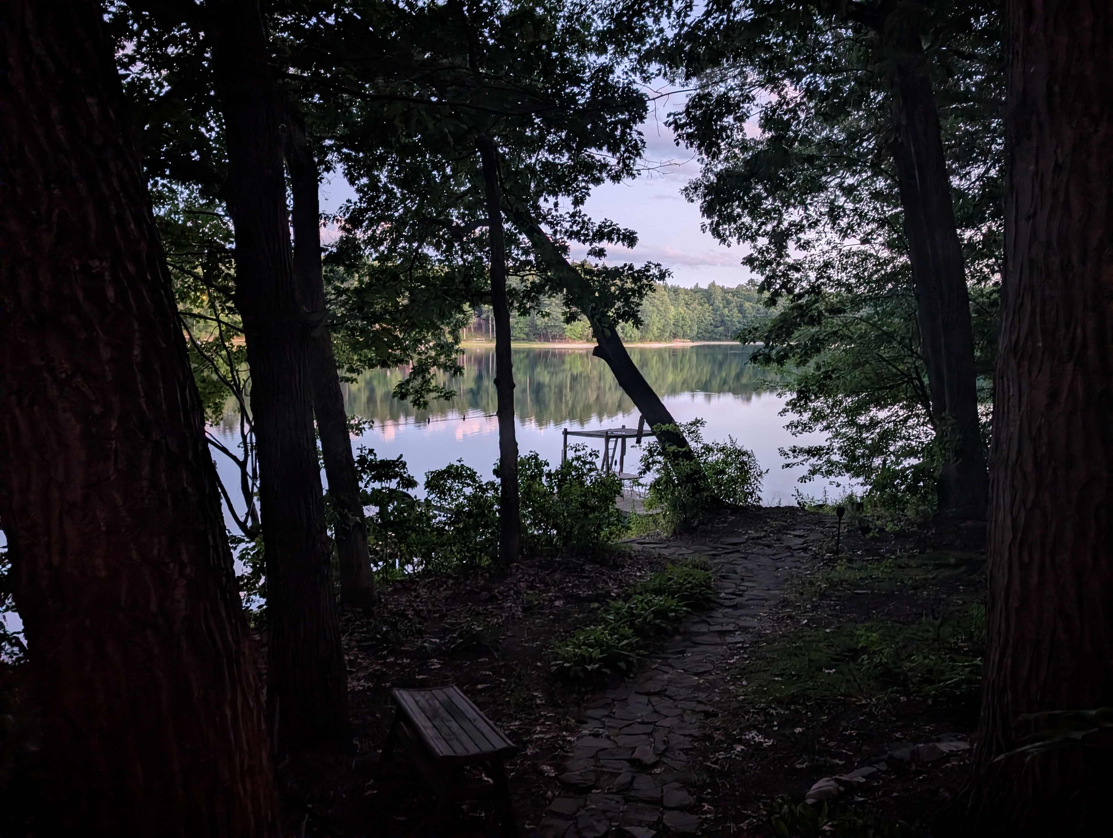 Ponderings at White Pond