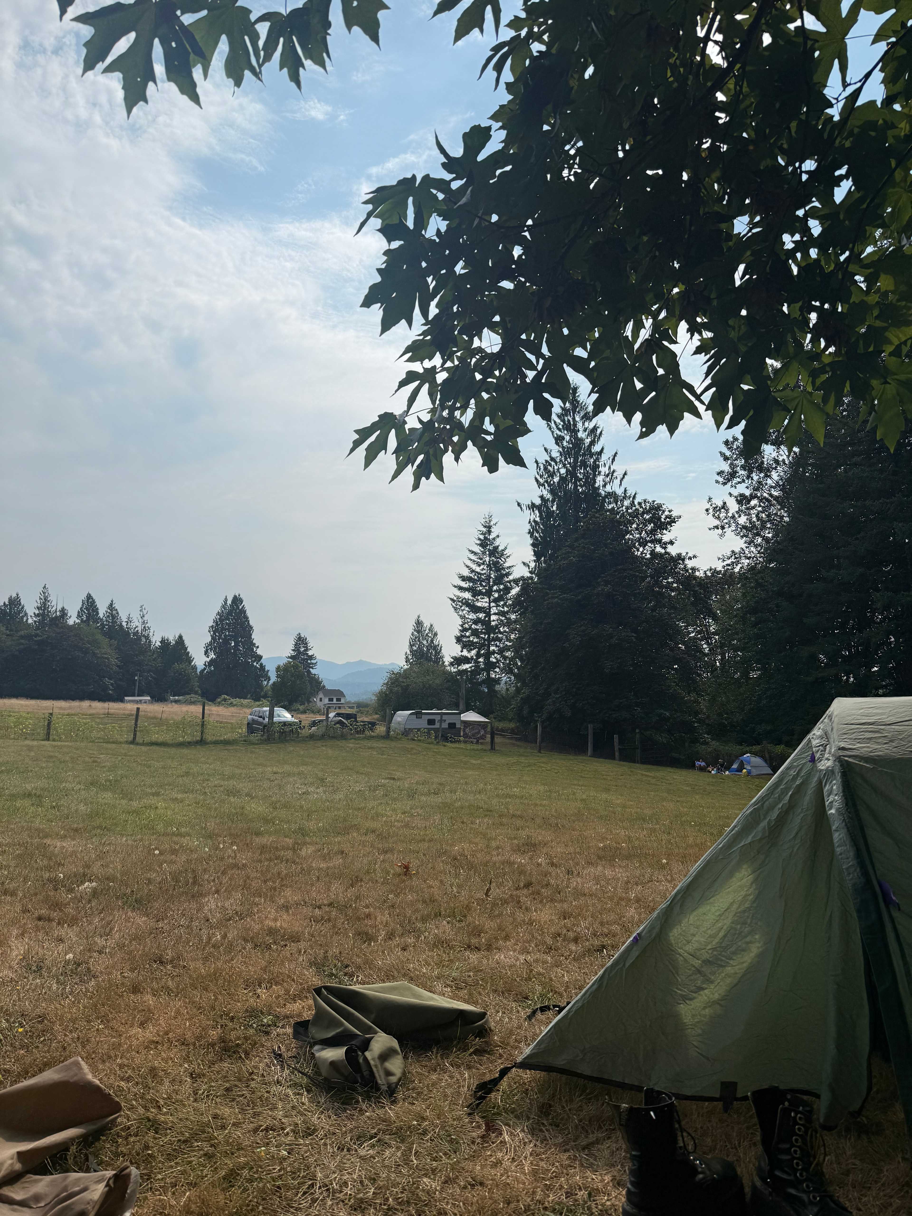 Picture of the site
