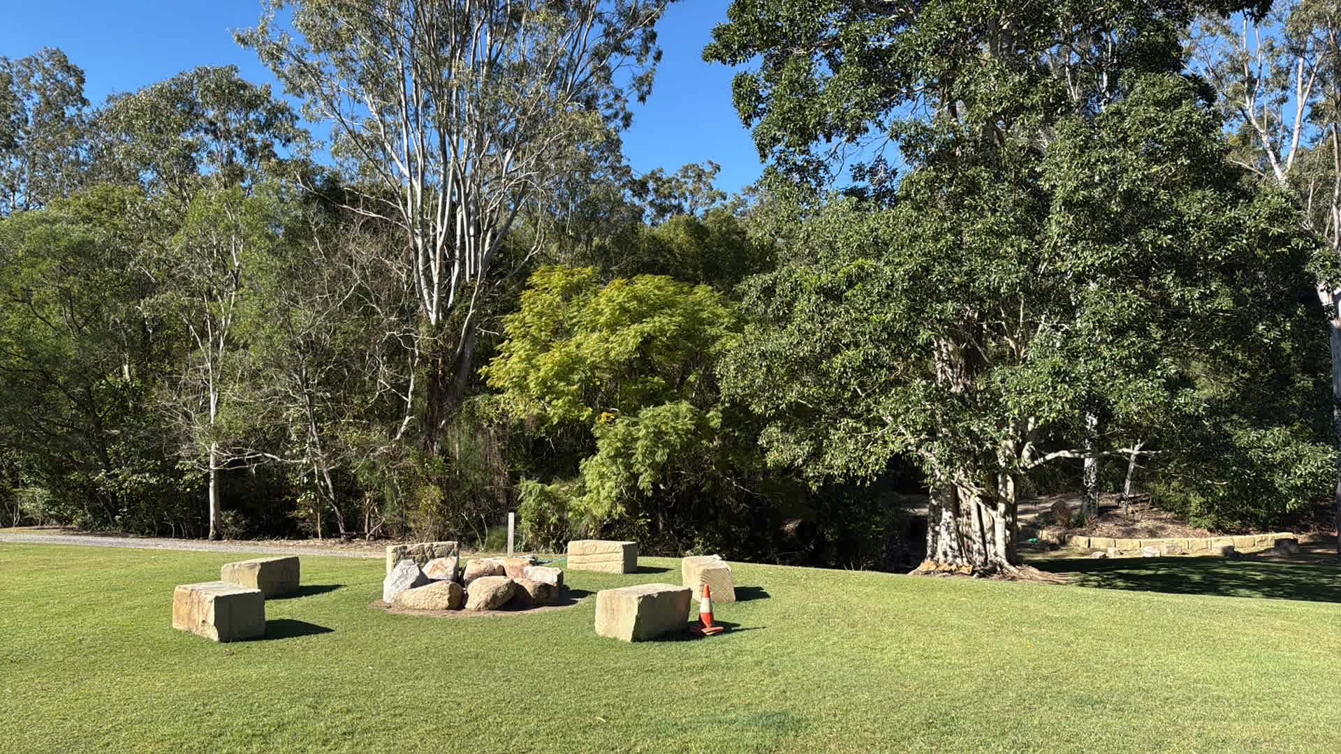 The Enchanted Paddock
