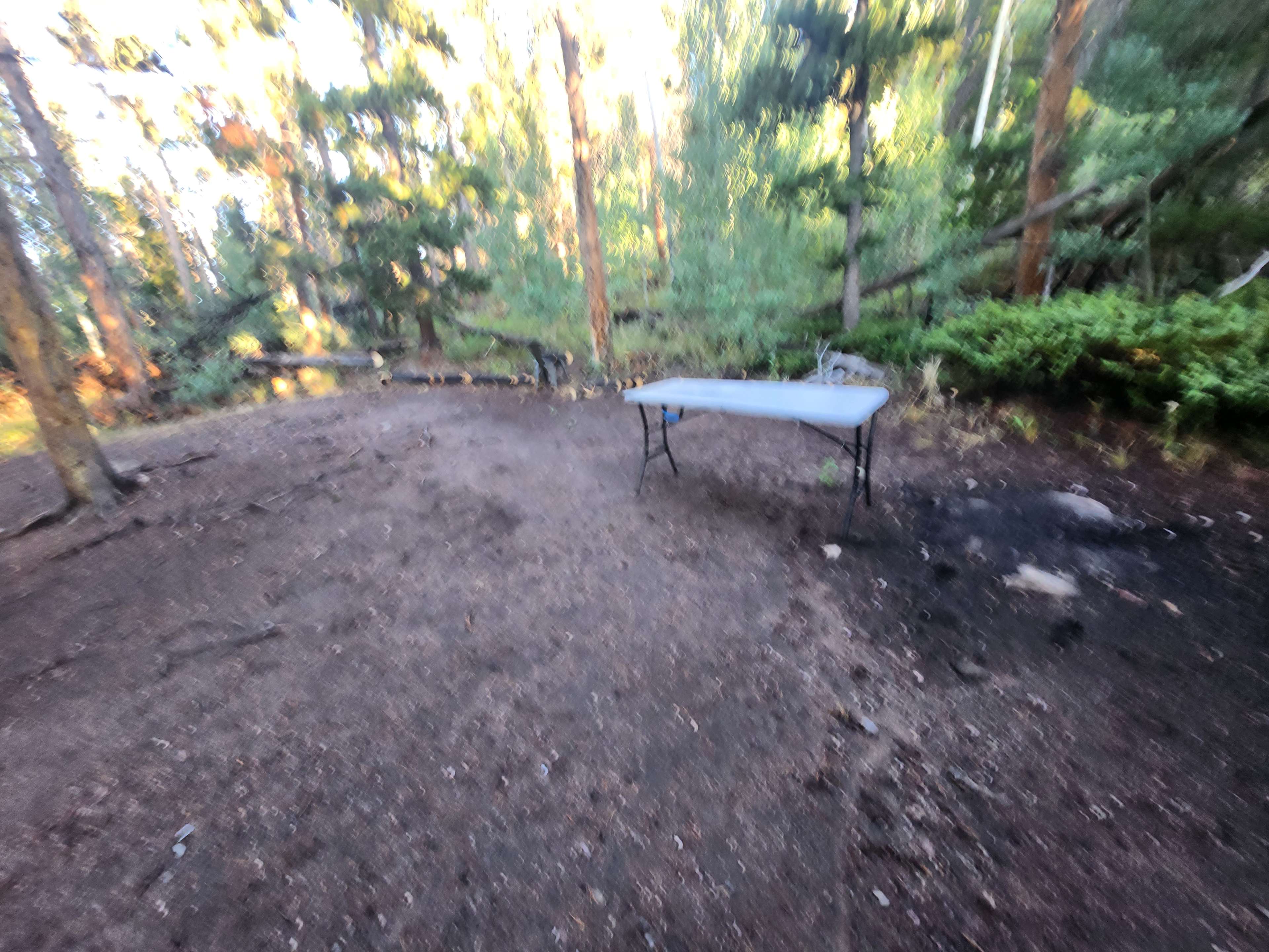 Neverland Camp Wilder
