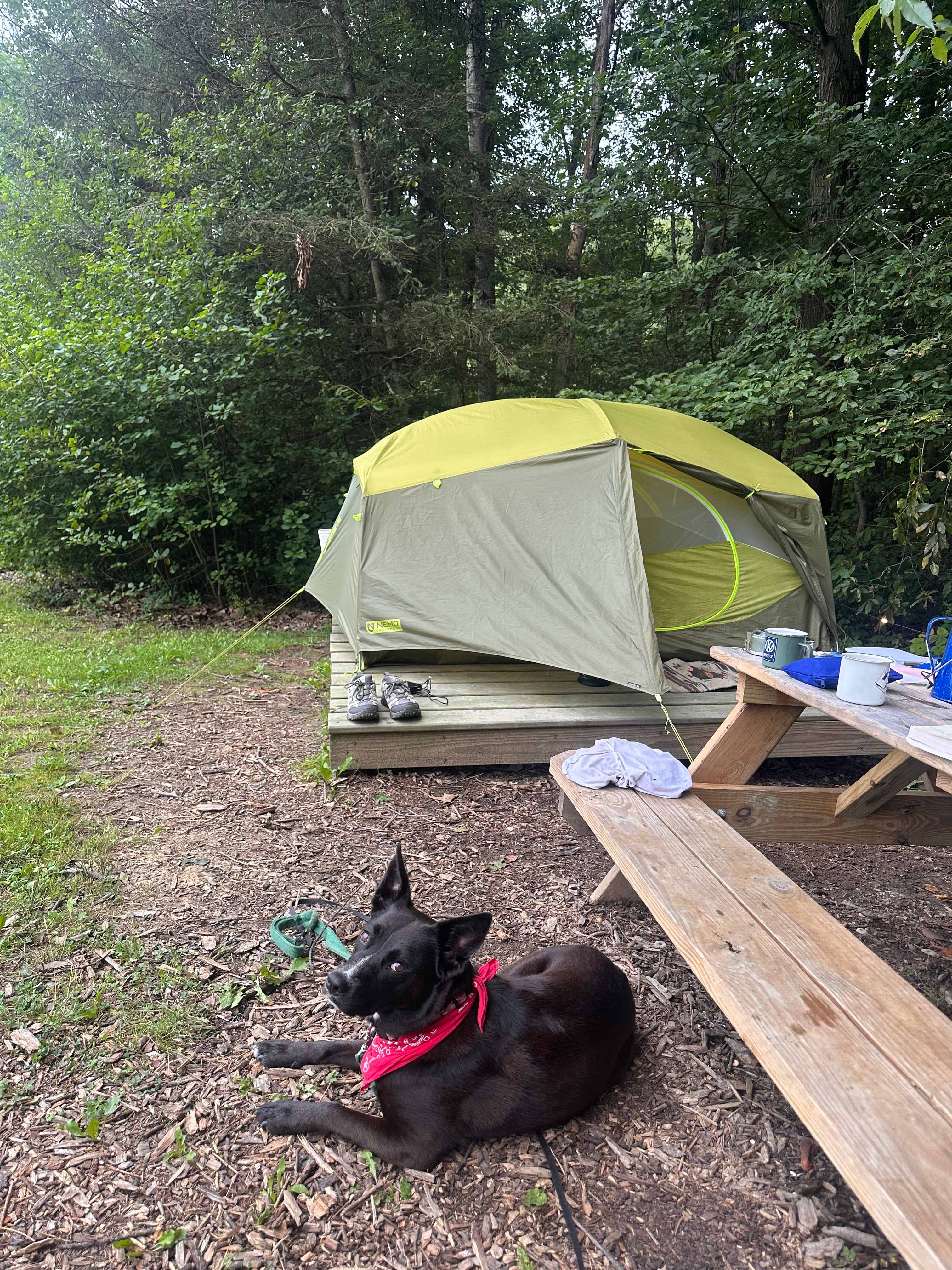 Campsite H