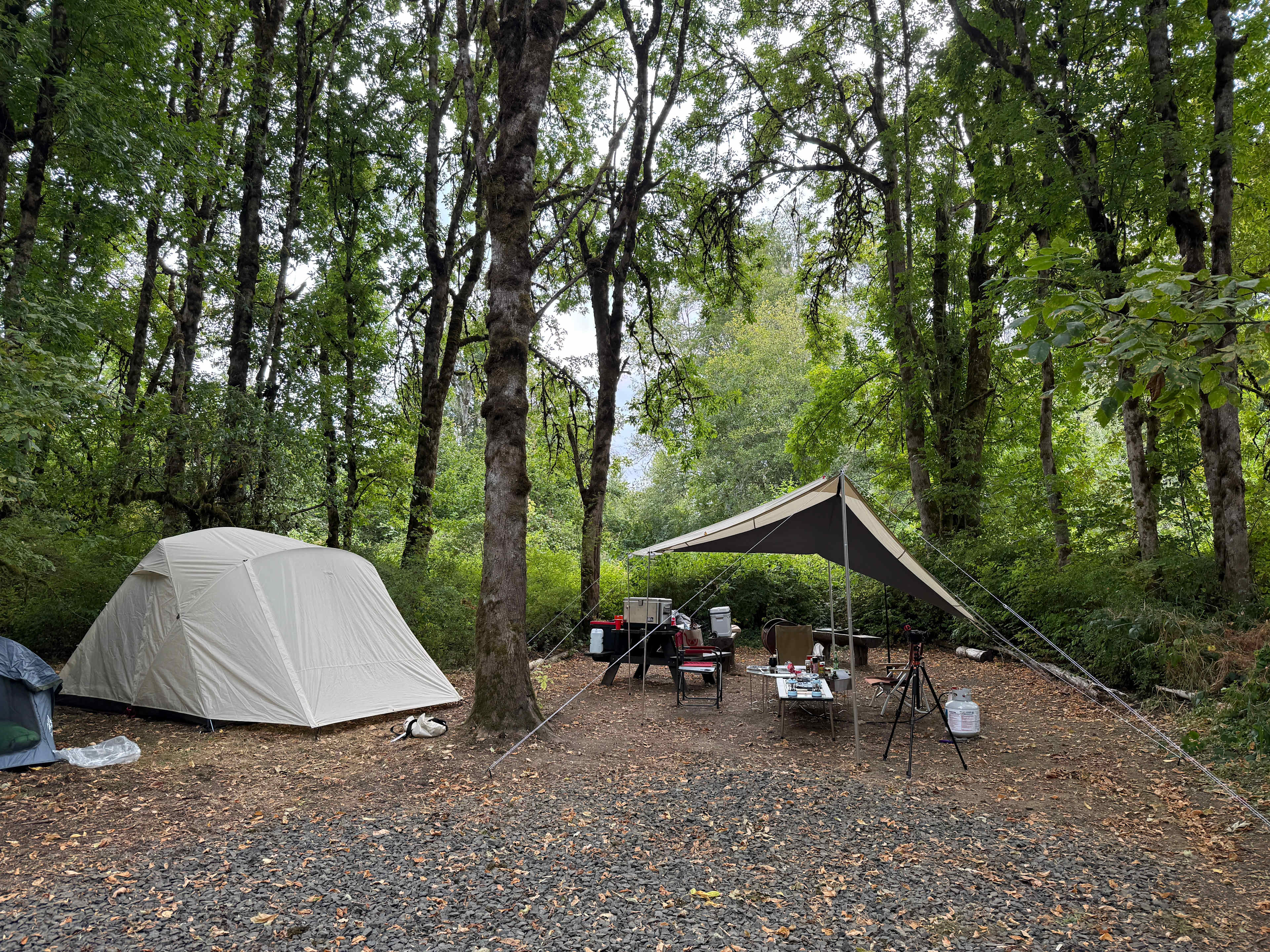 Camp Hope