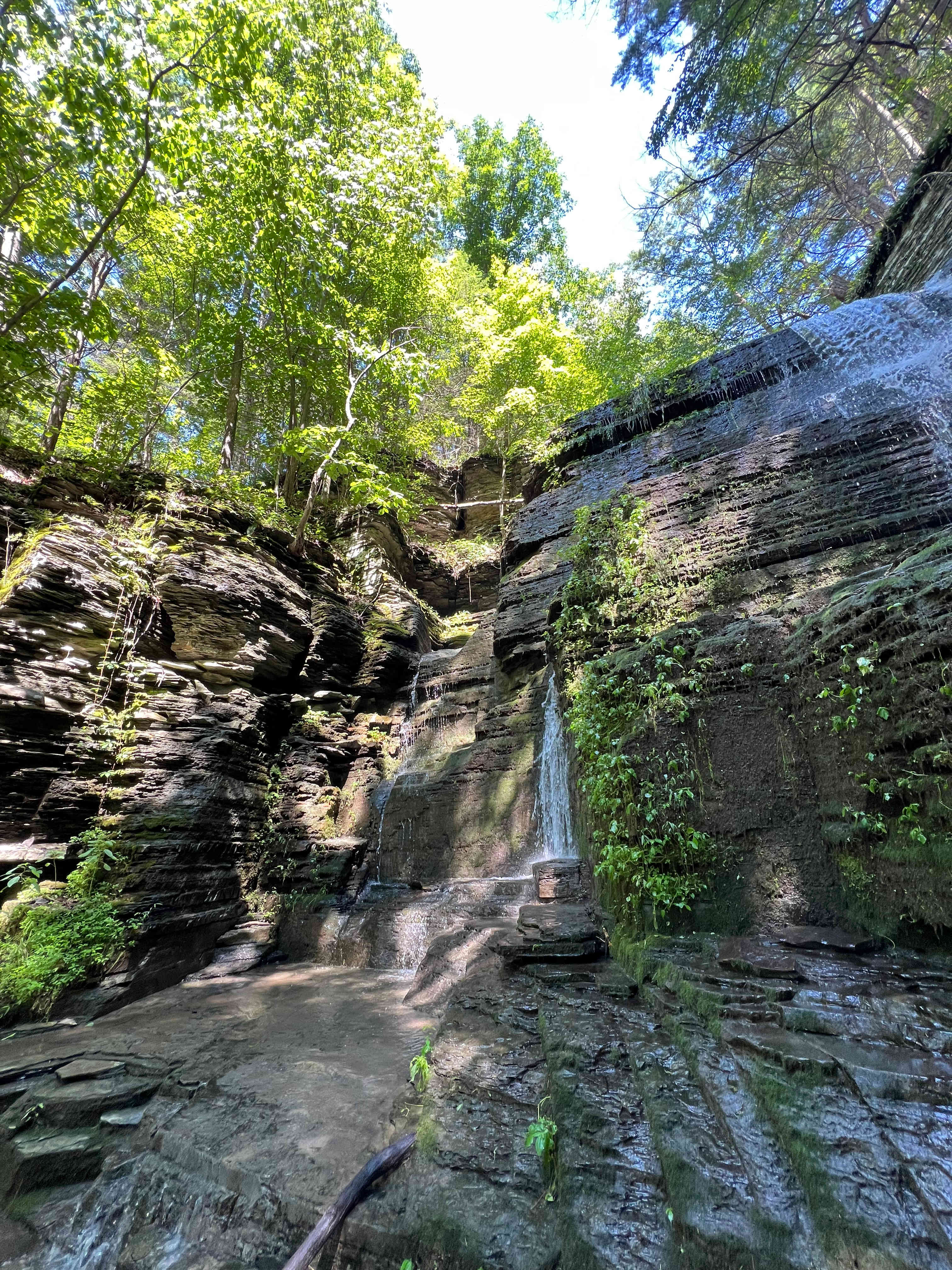 Waterfall Creek