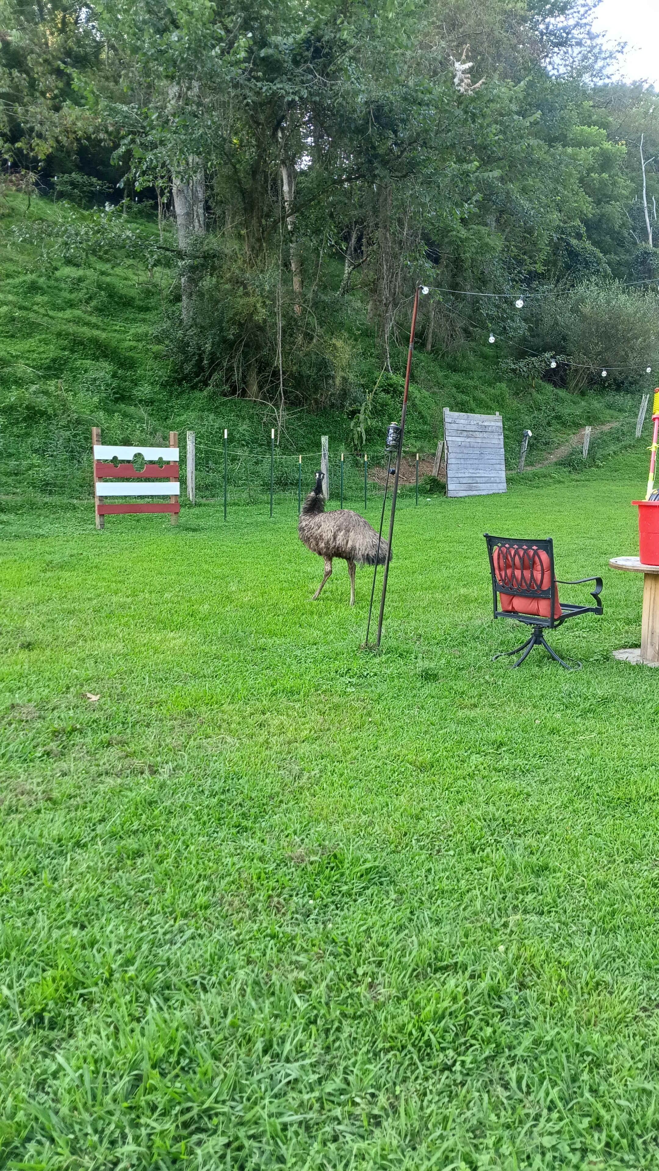 Wild Goats Farm LLC