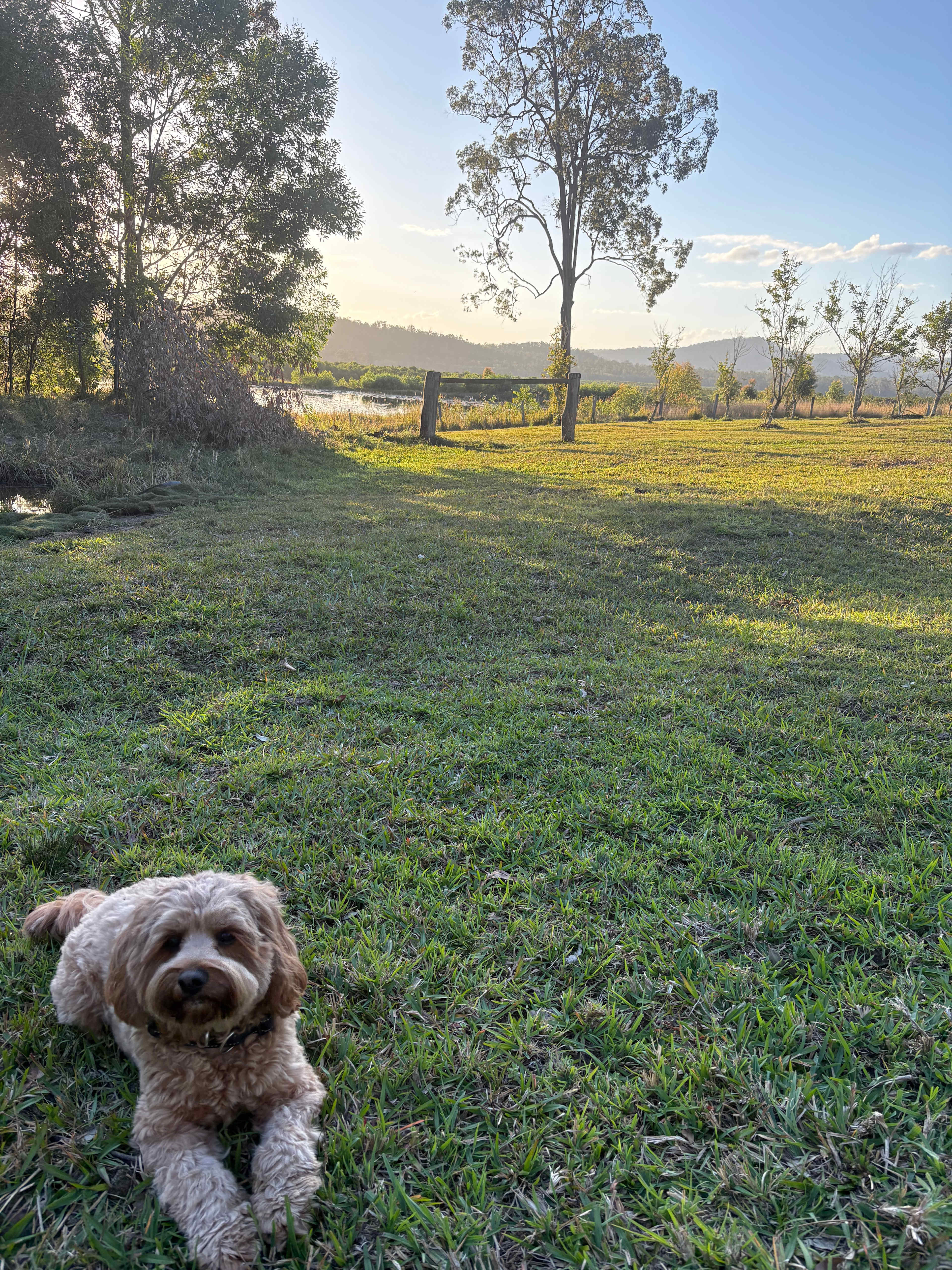 Mororo Hobby Farm