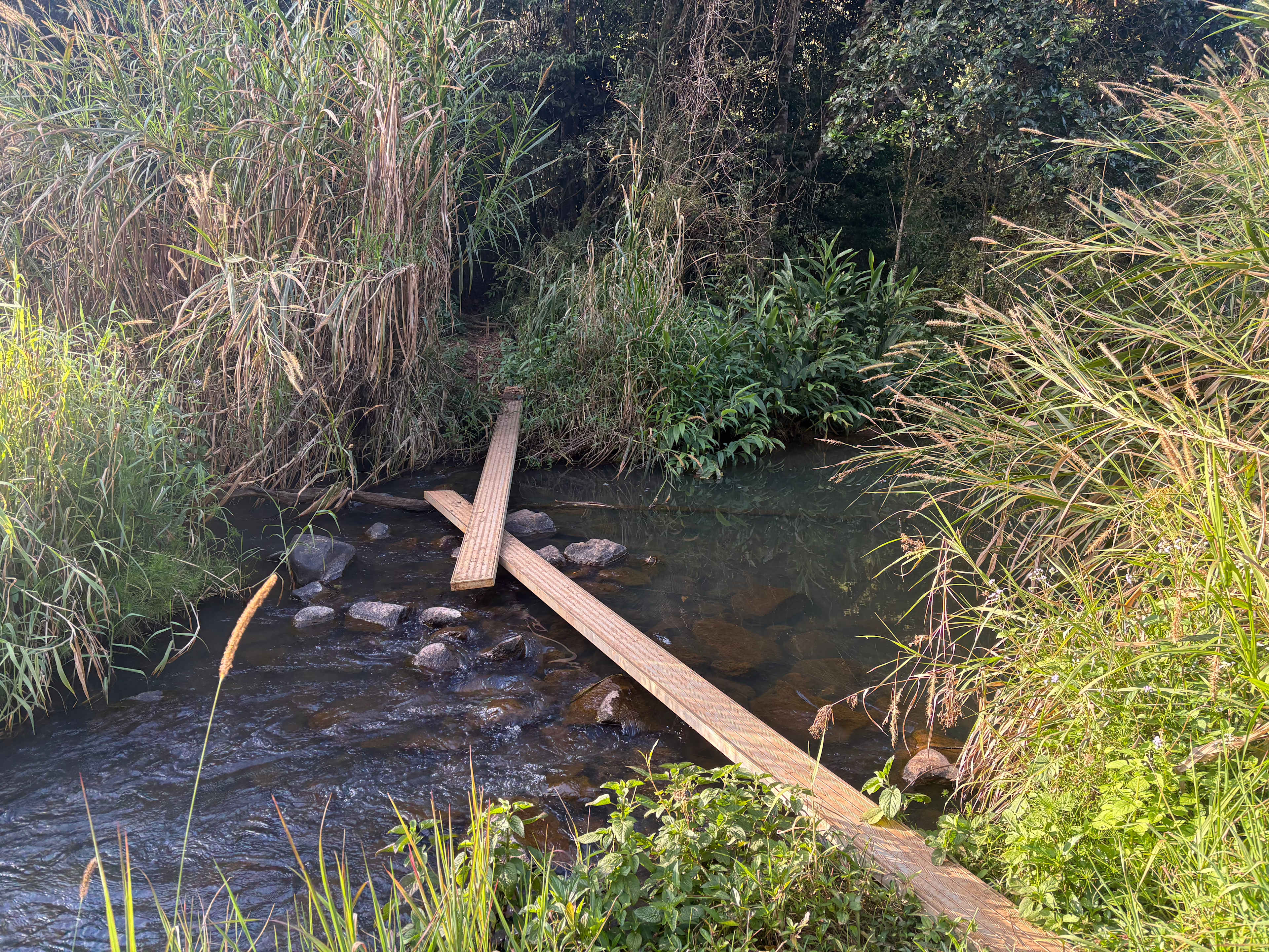 Malanda Stream Private Camping.