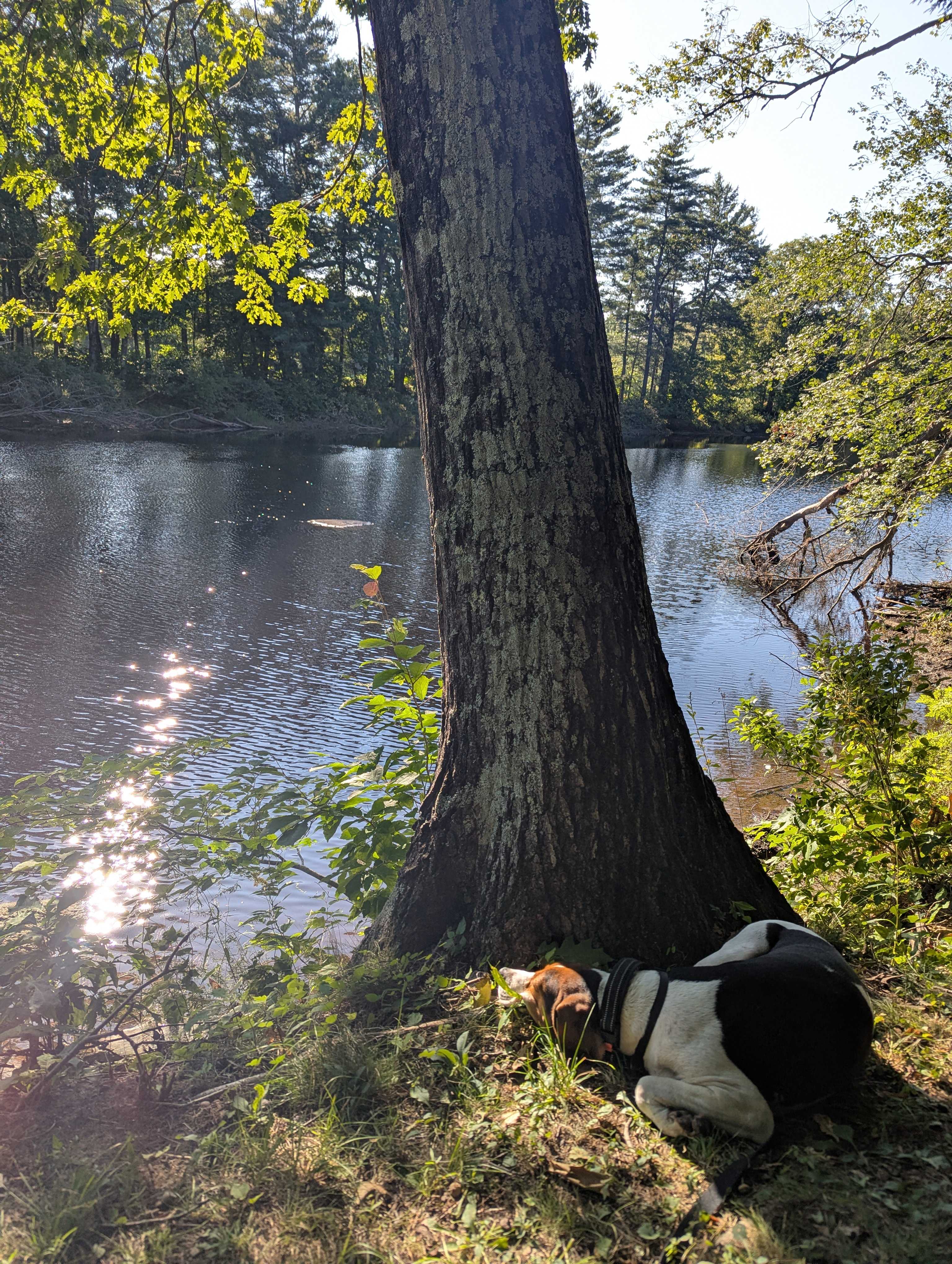 Winding River