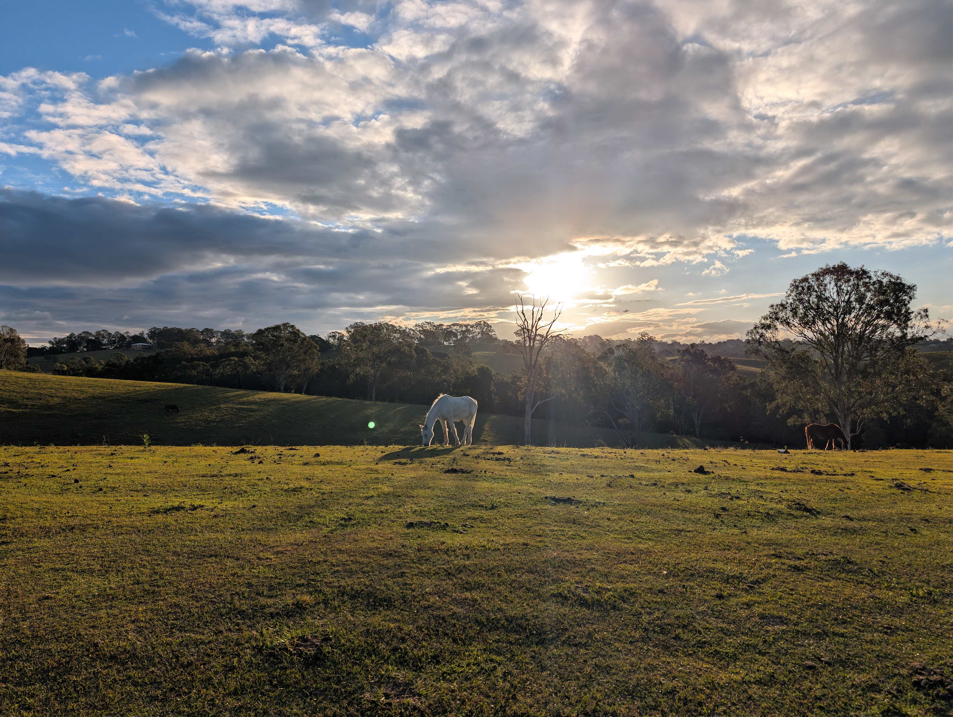 Rangetop Farm