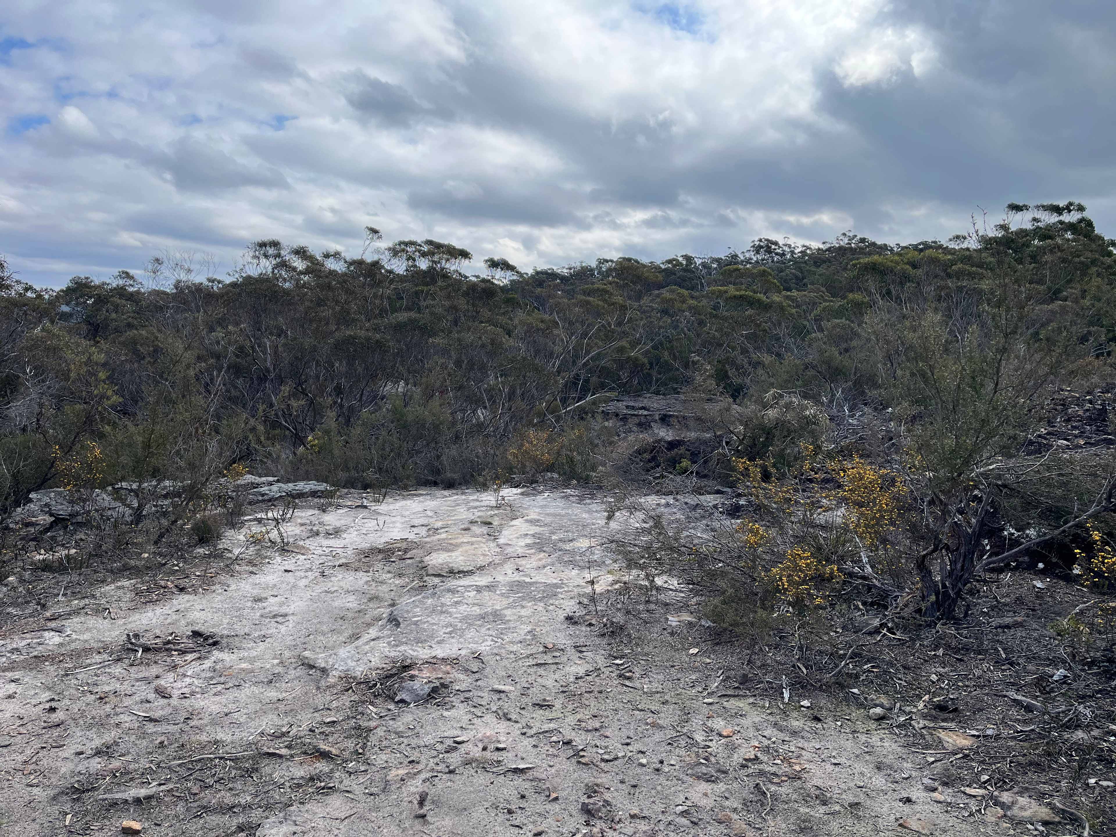 Joadja Gorge Retreat & Camping