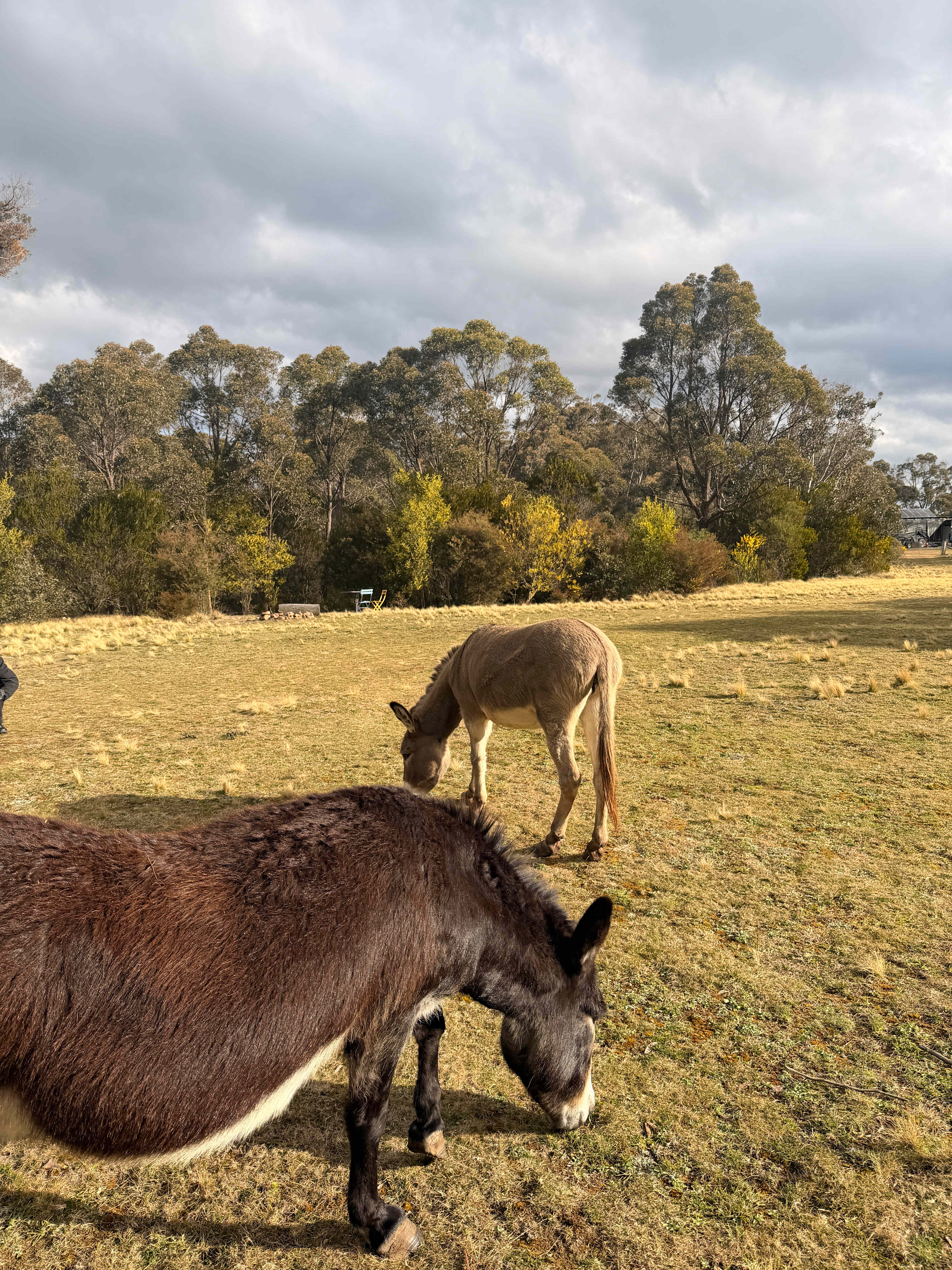 Joadja Gorge Retreat & Camping