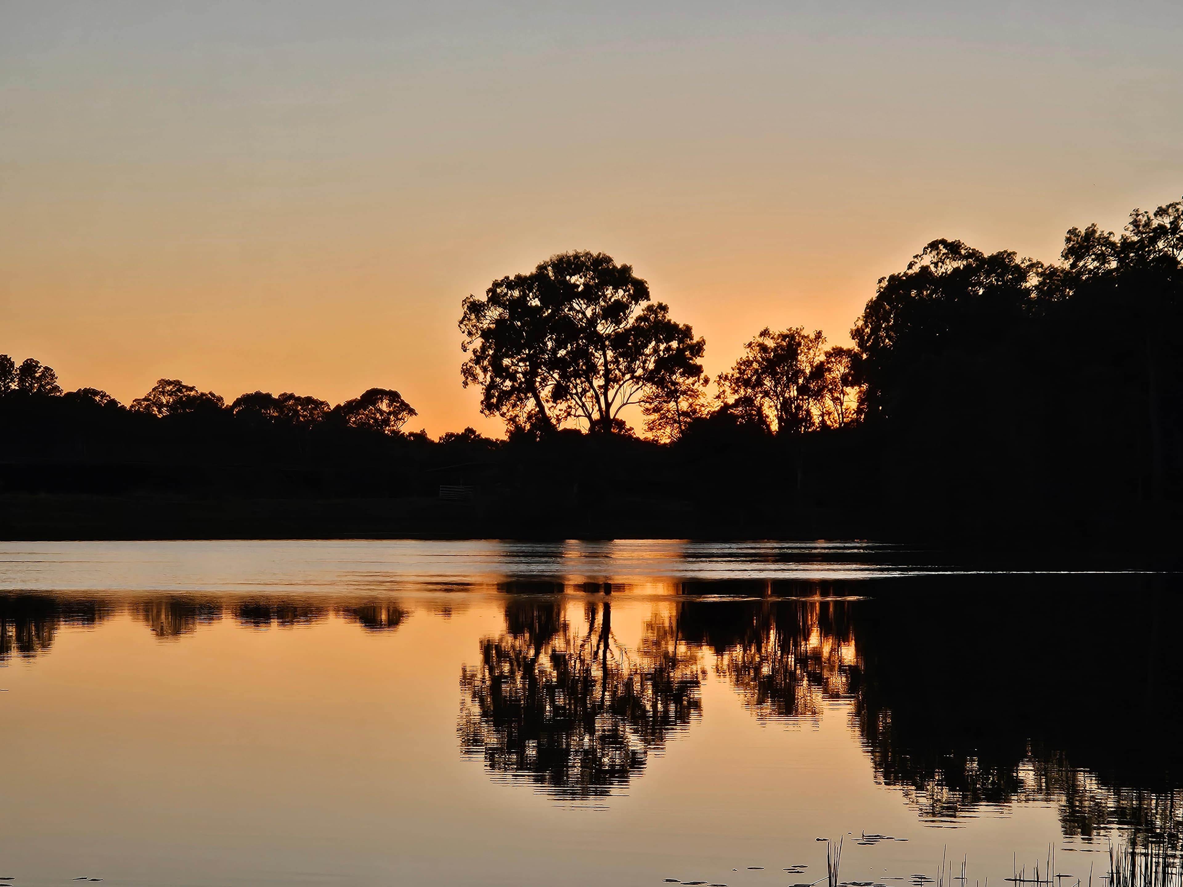 Sunrise