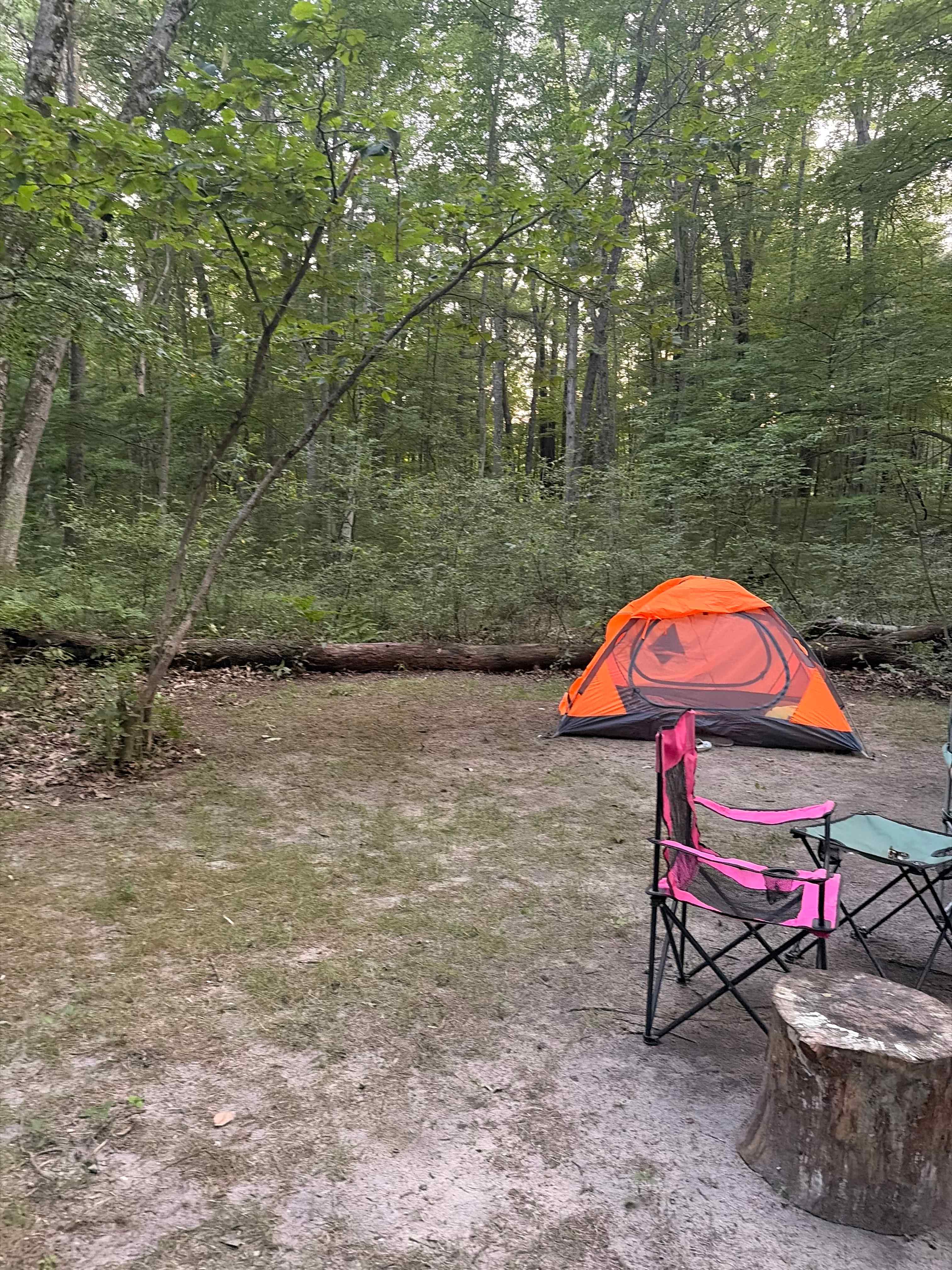 Valley of the Giants Camp