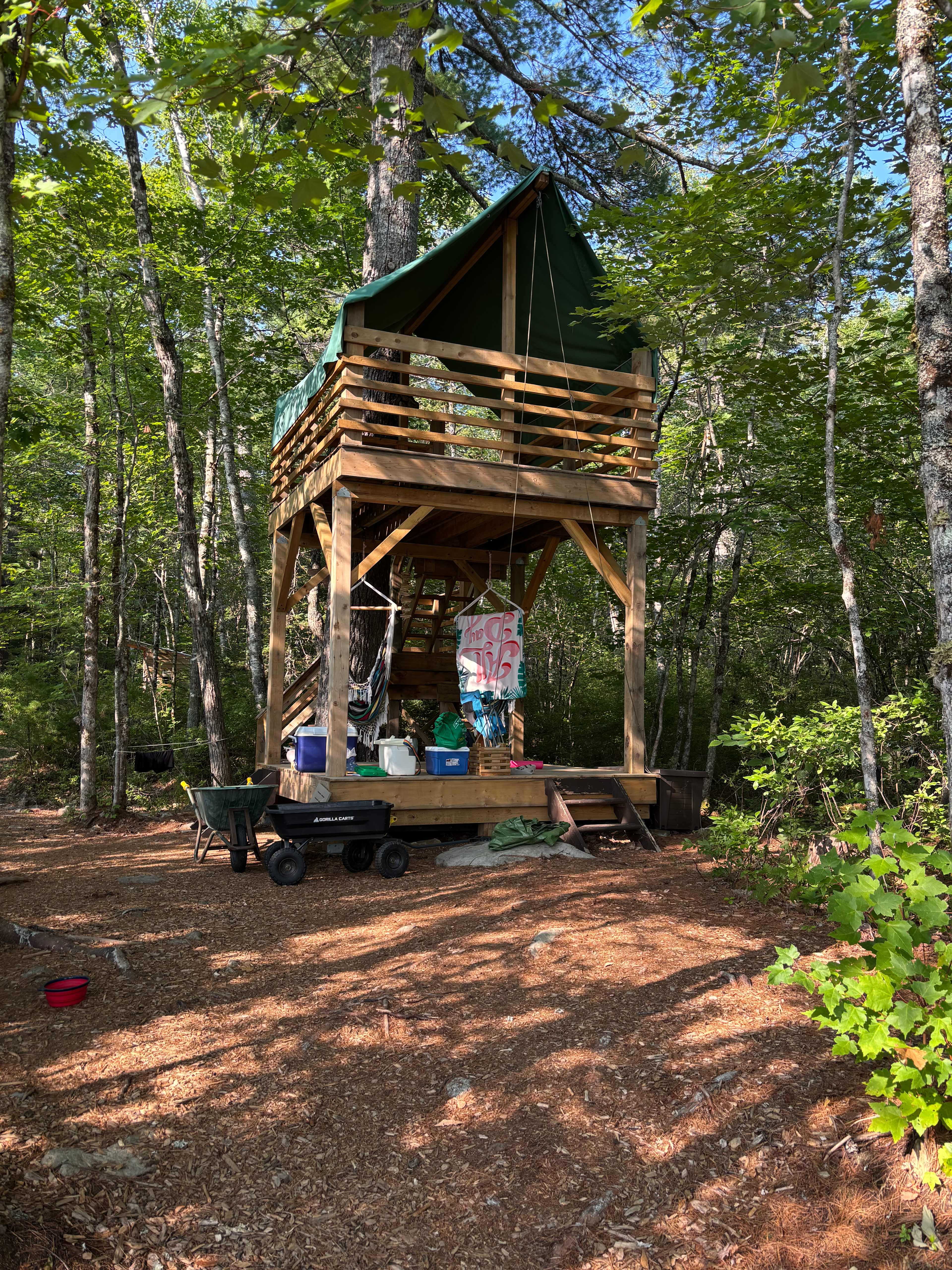The Perch
