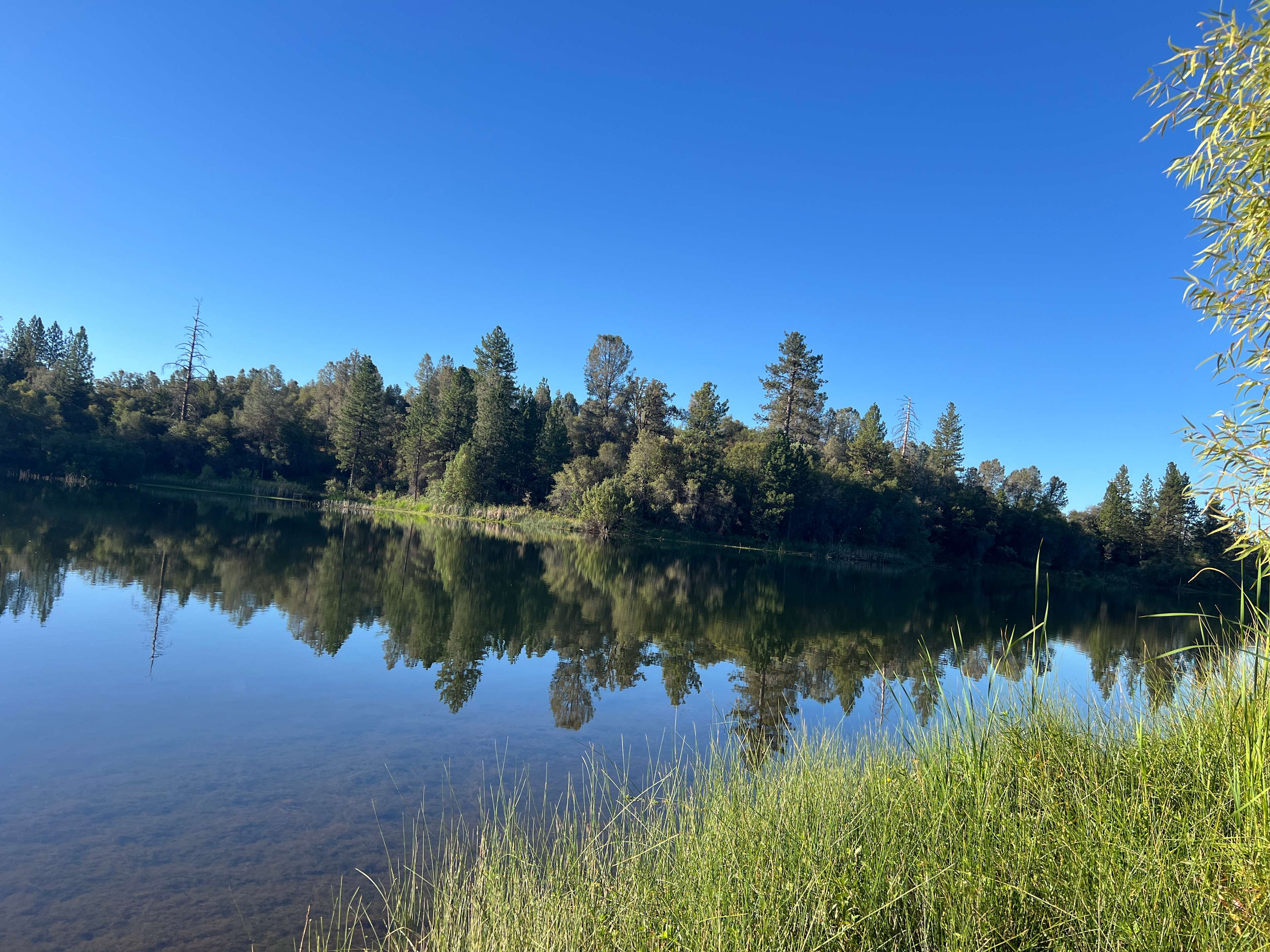 Finnon Lake Recreation Area