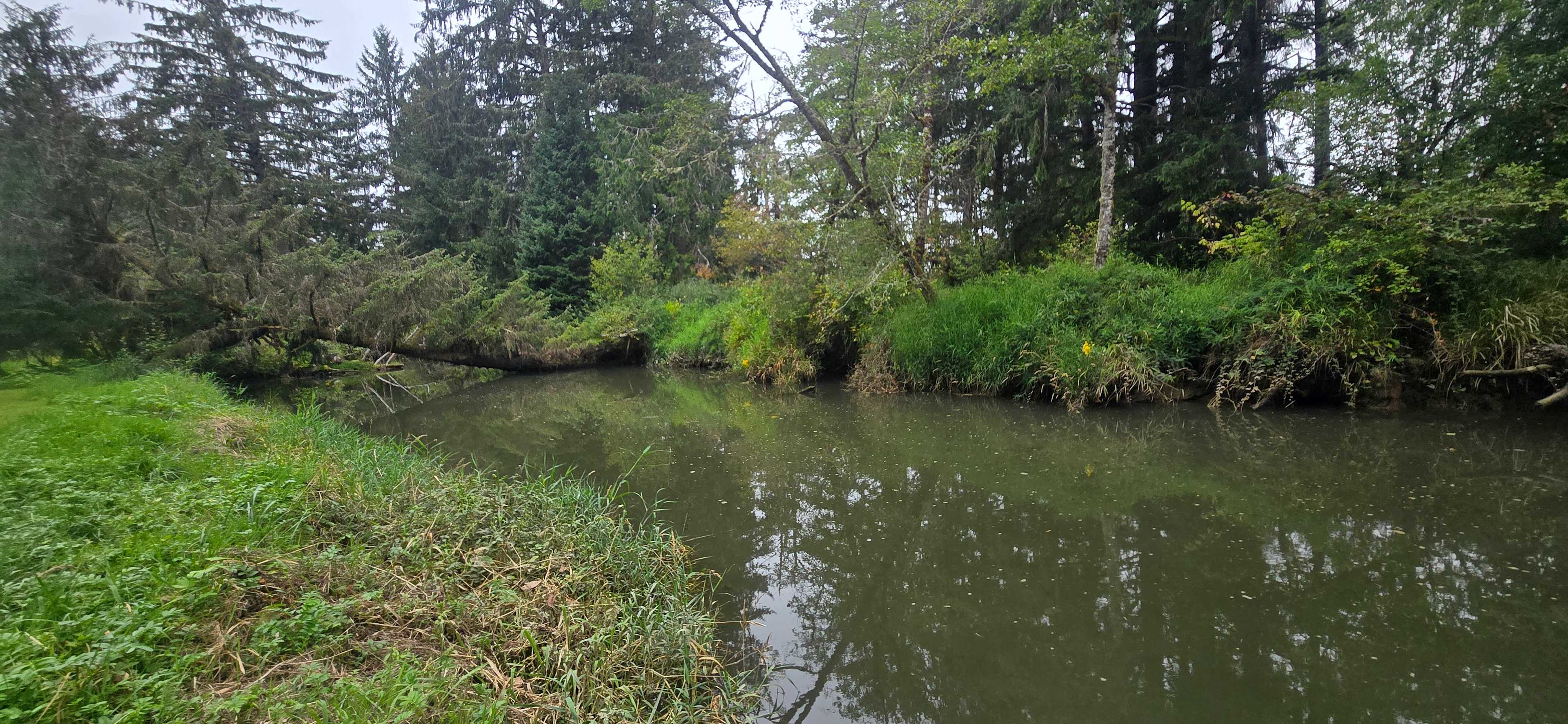 Williams Park campground