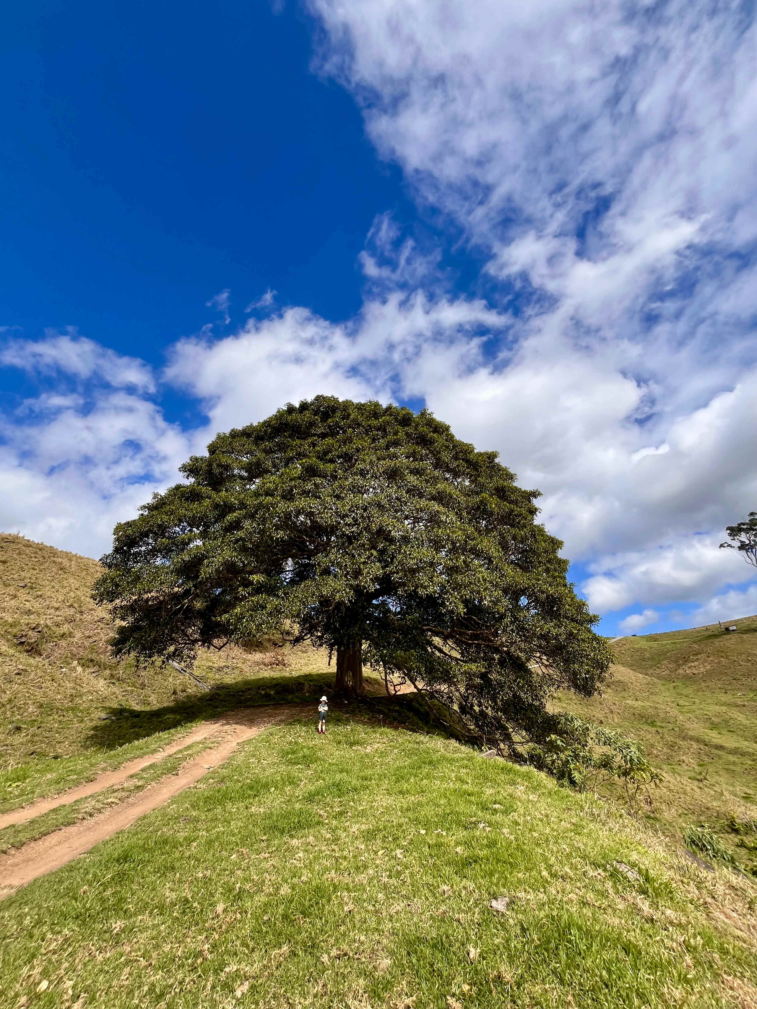 Coorie Vale