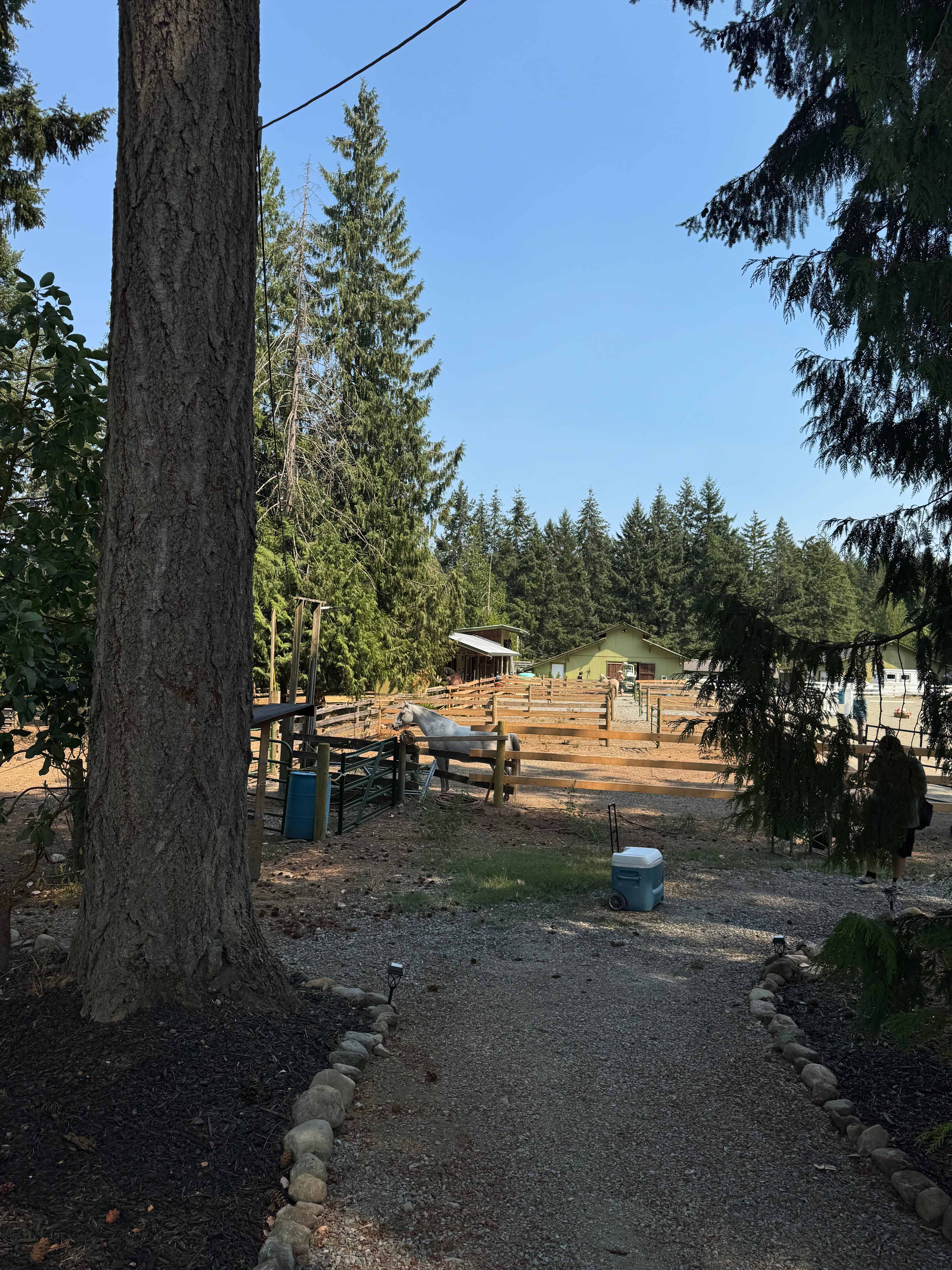 Goat & Rose Farms
