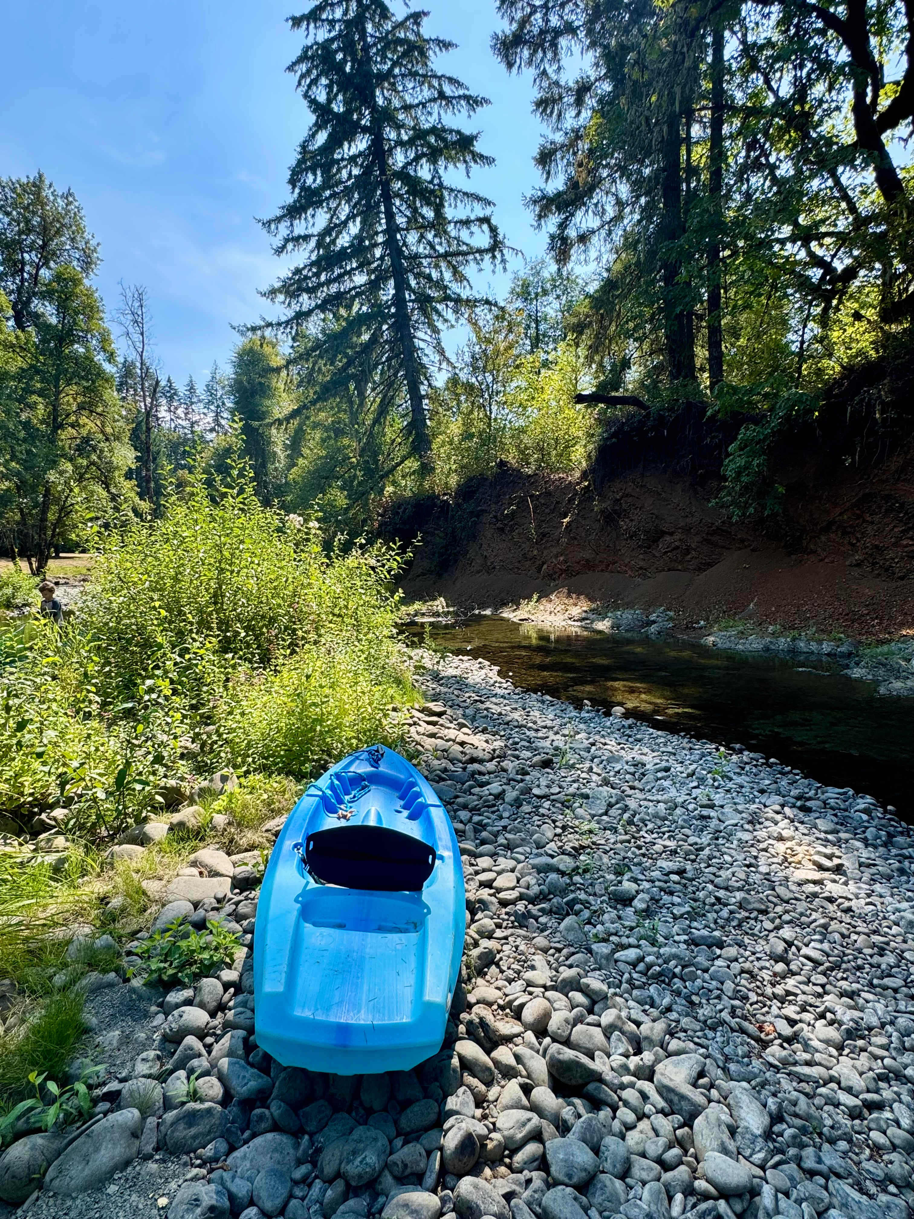 Paradise on Mill Creek