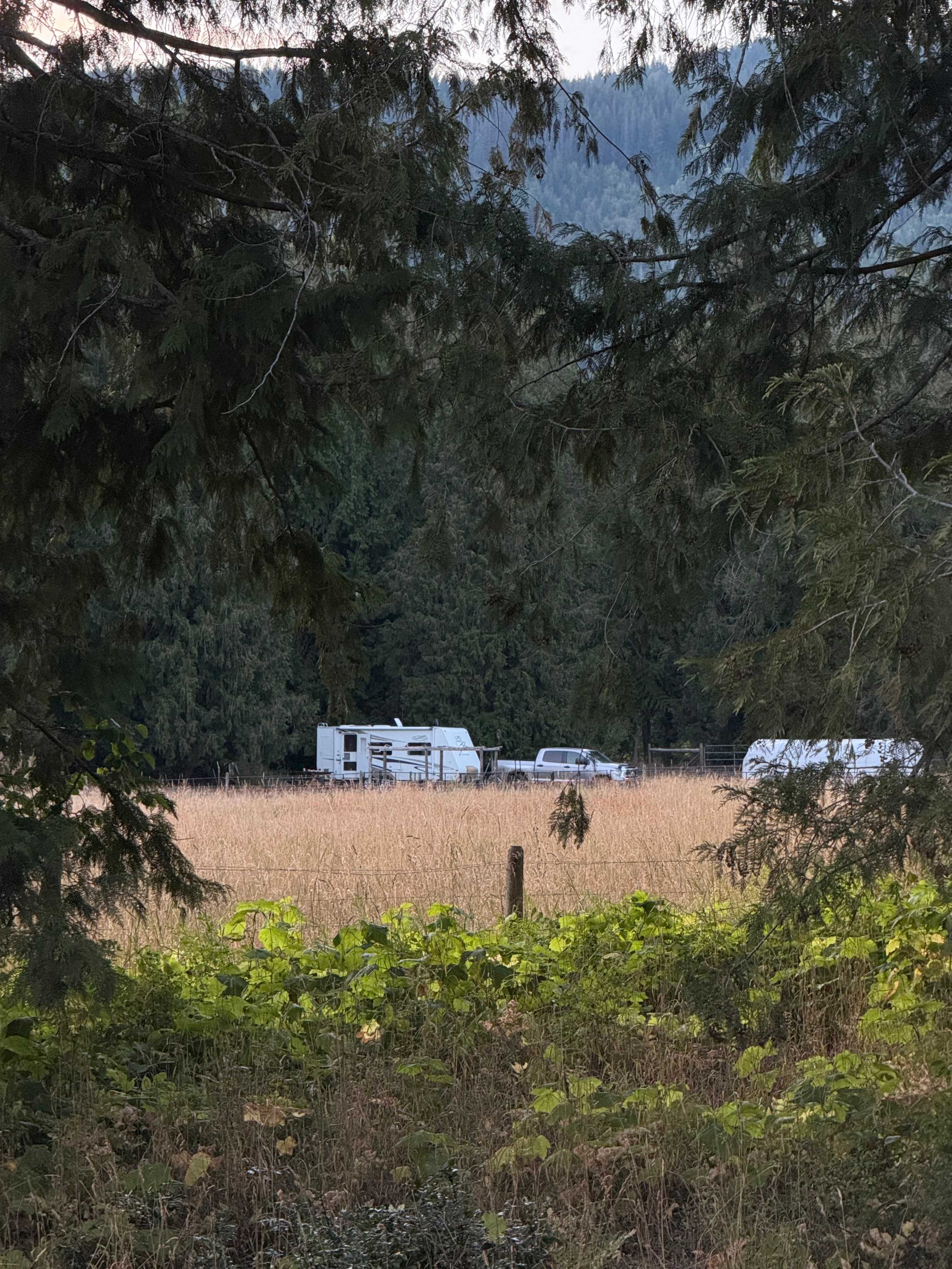 Olich Creek Farm