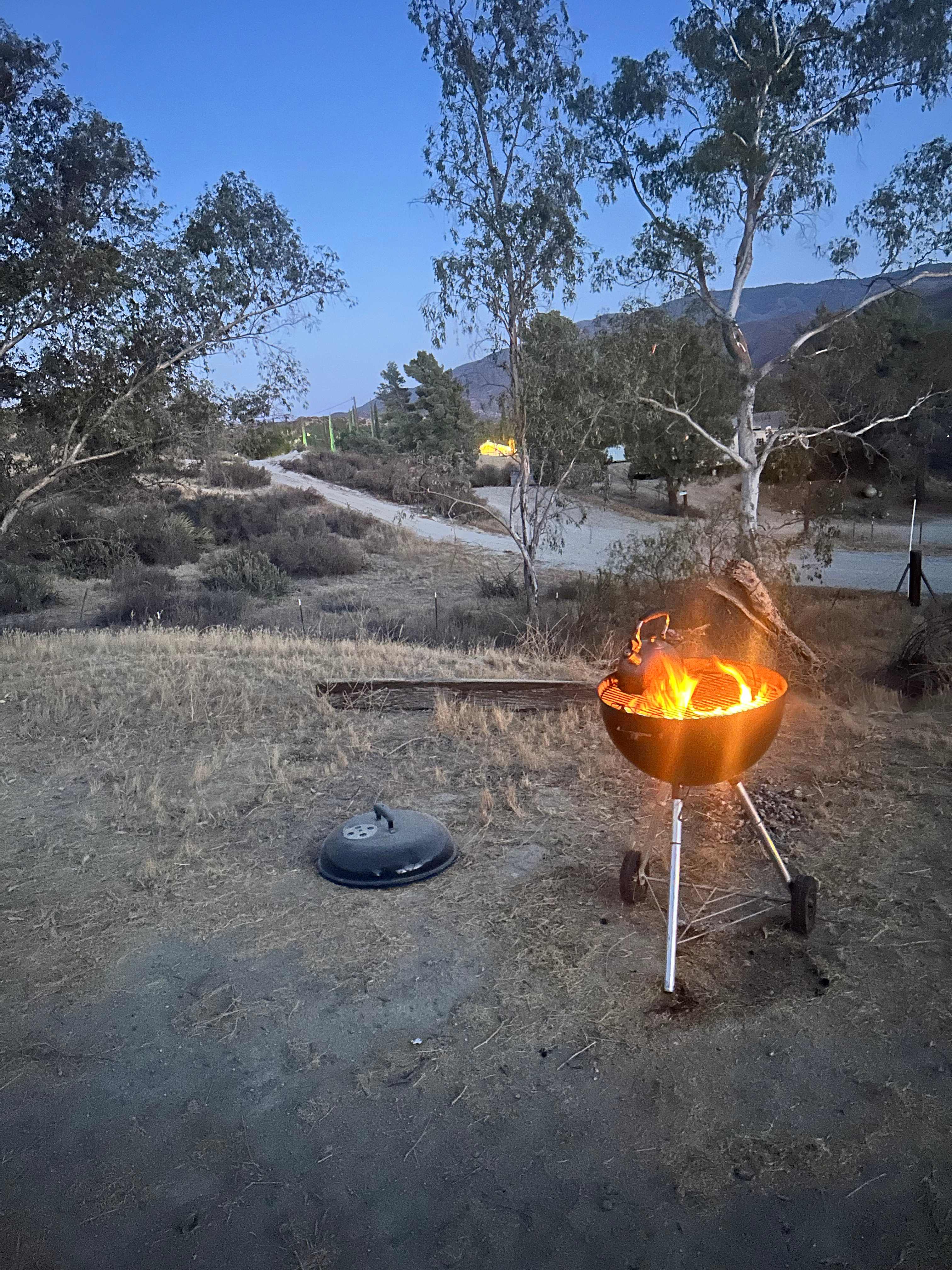 Saddle Up Camp