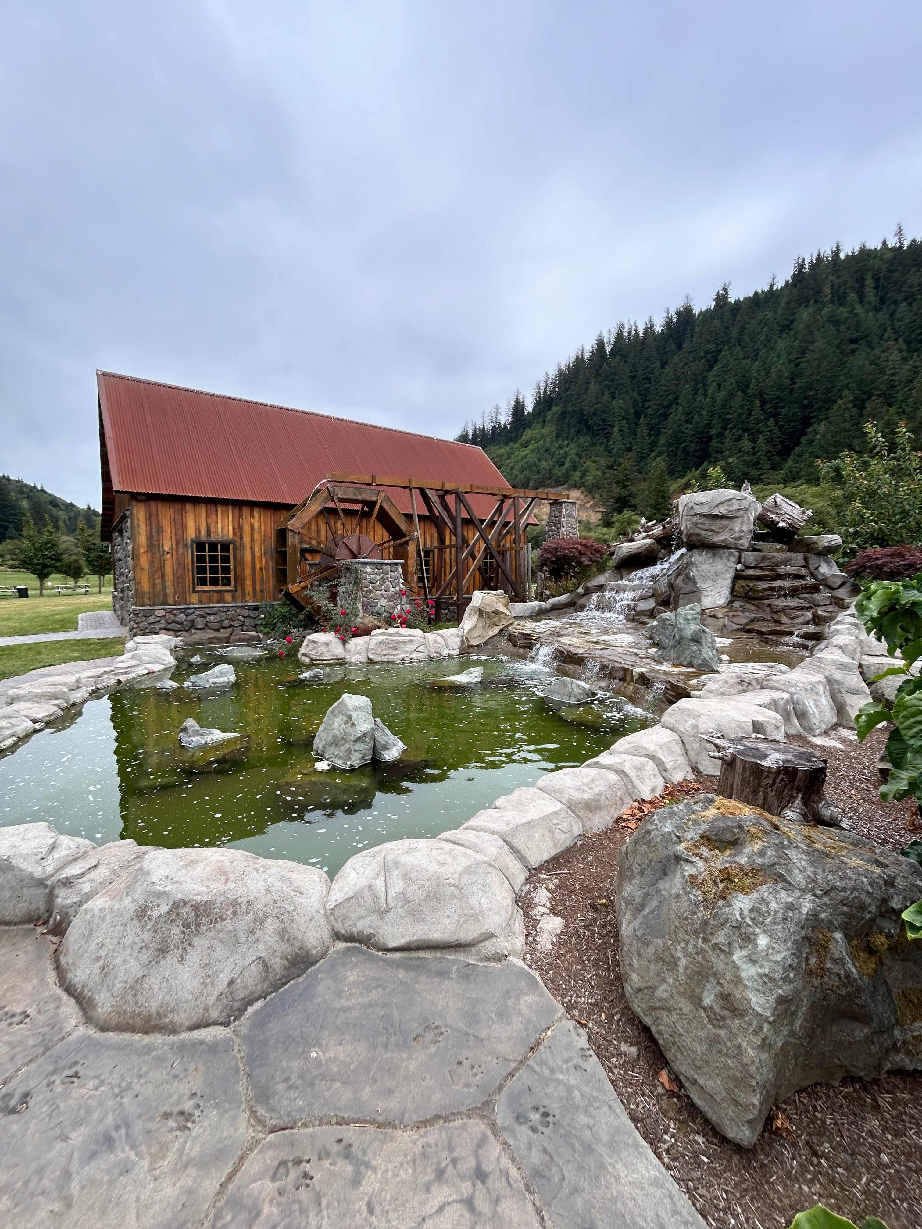 The Hydrangea Ranch