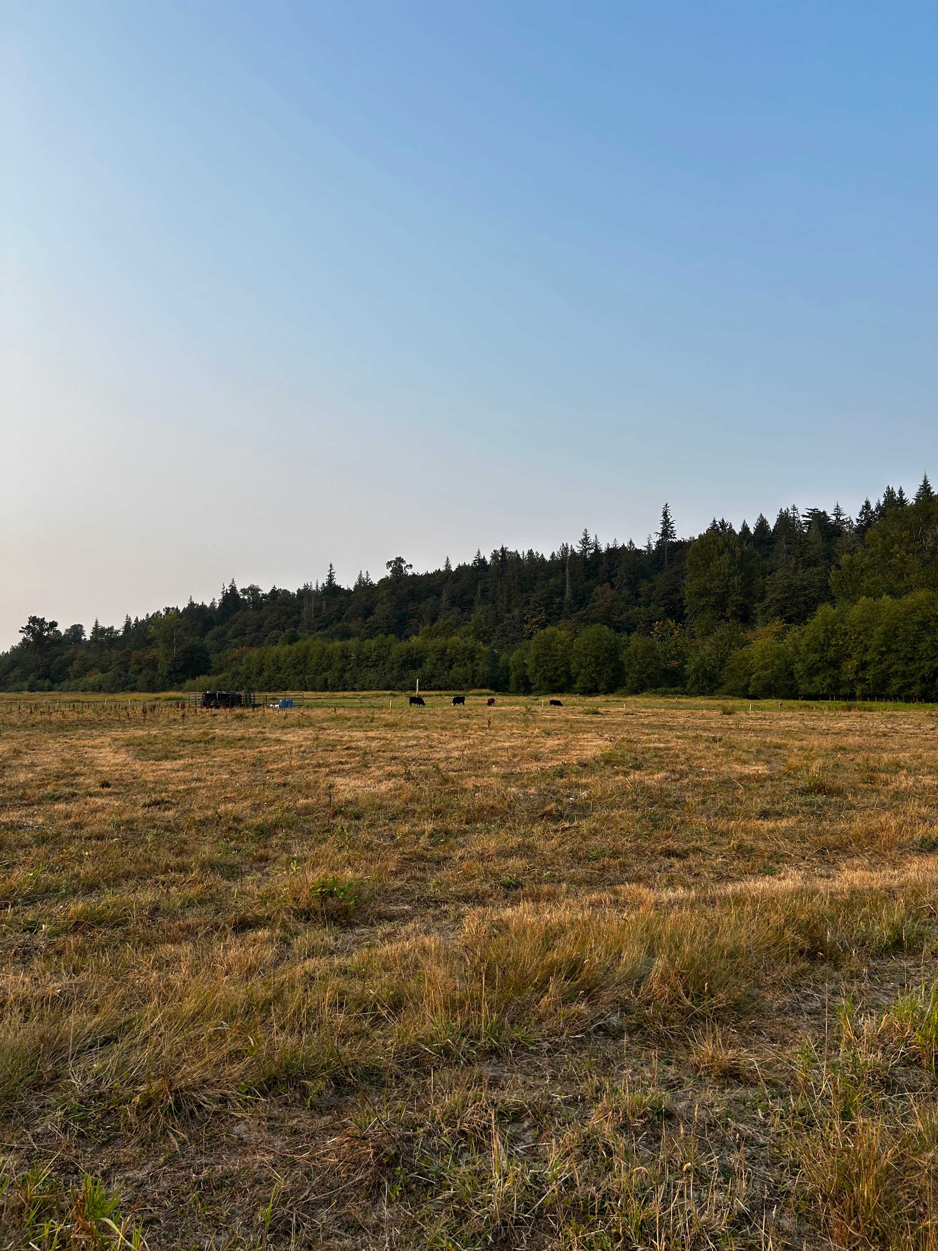 Novelty Hill Farm