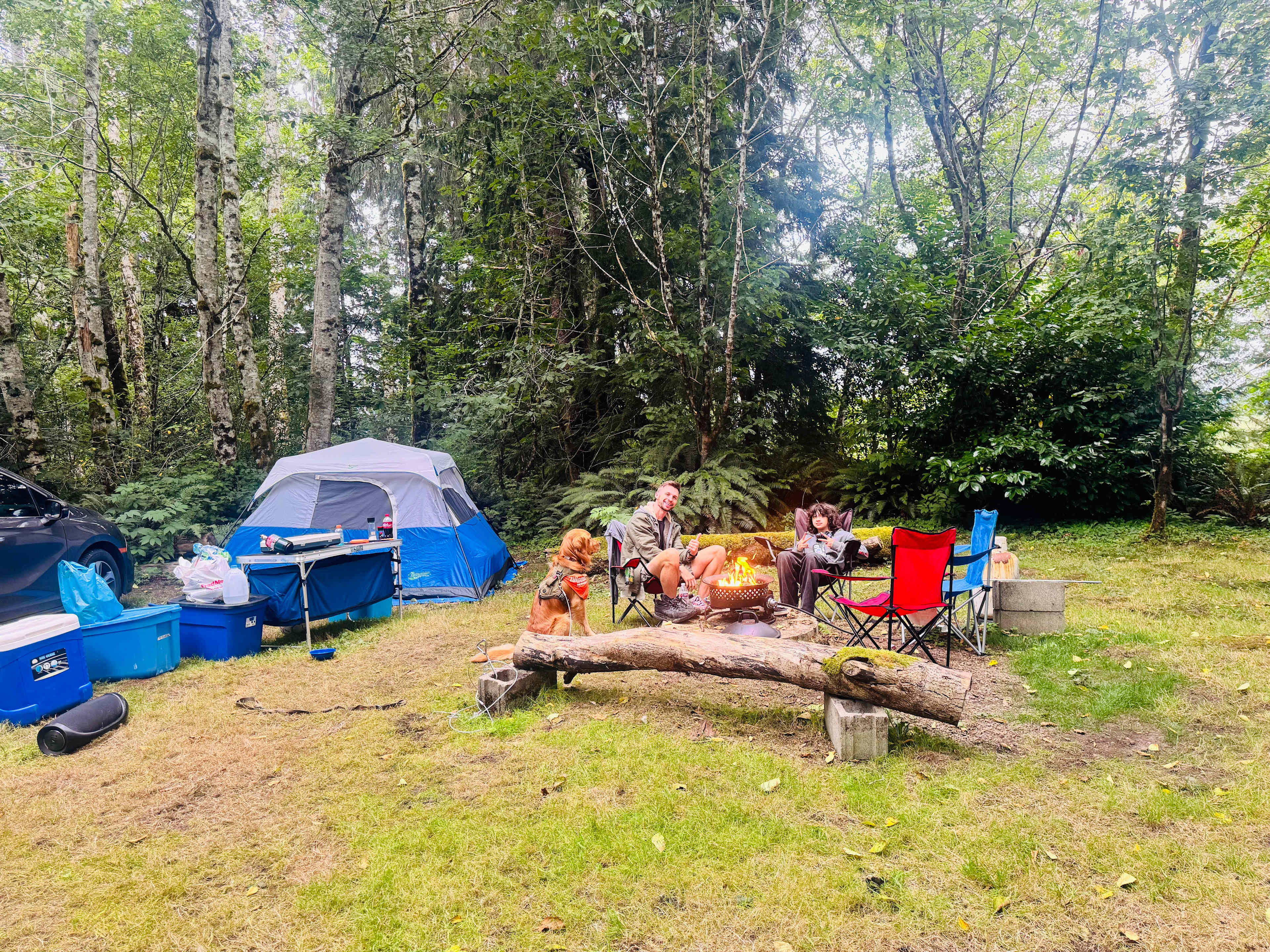 Fly Inn And Camp