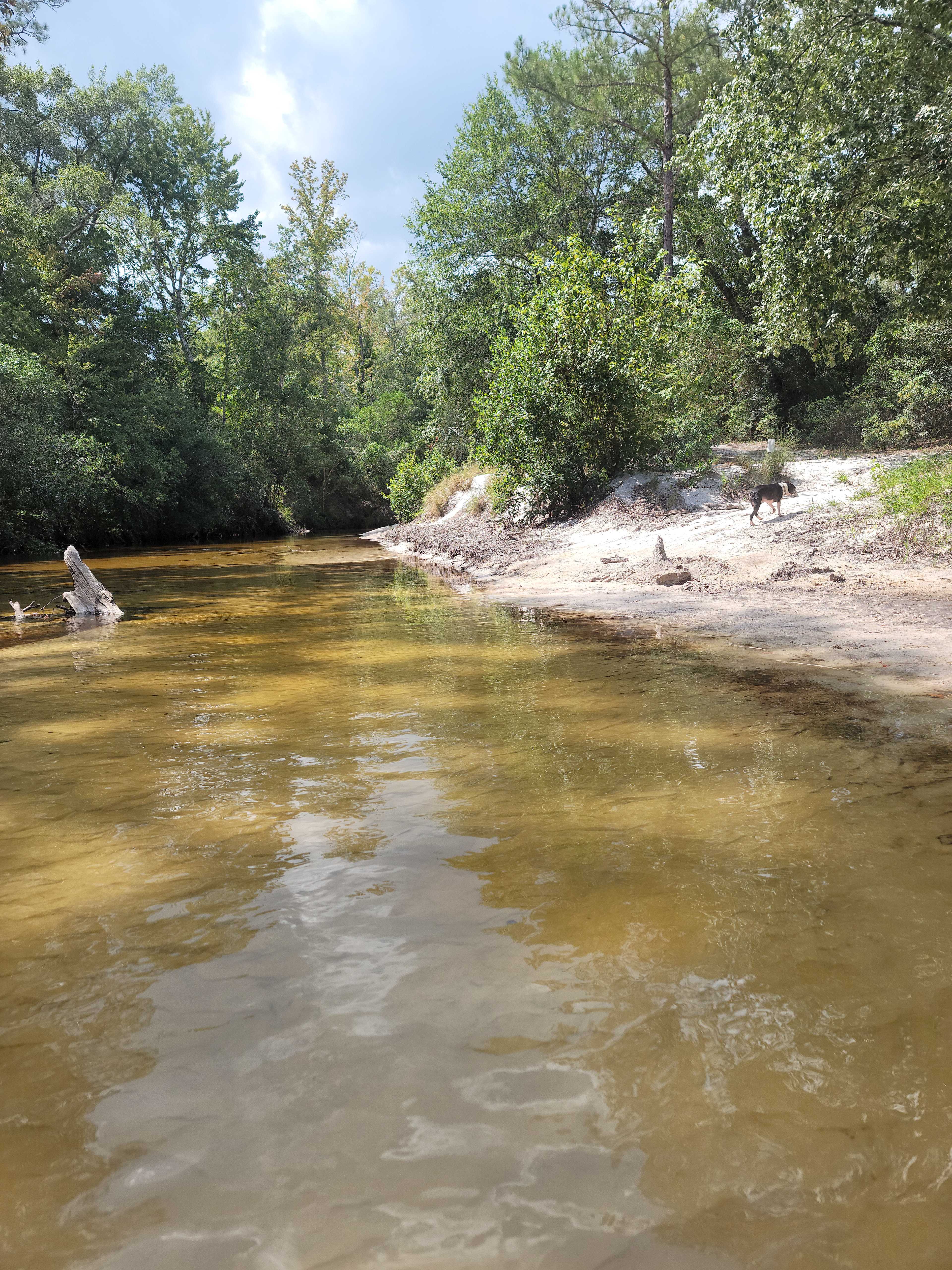 Larry & Sheila's Blackwater Getaway