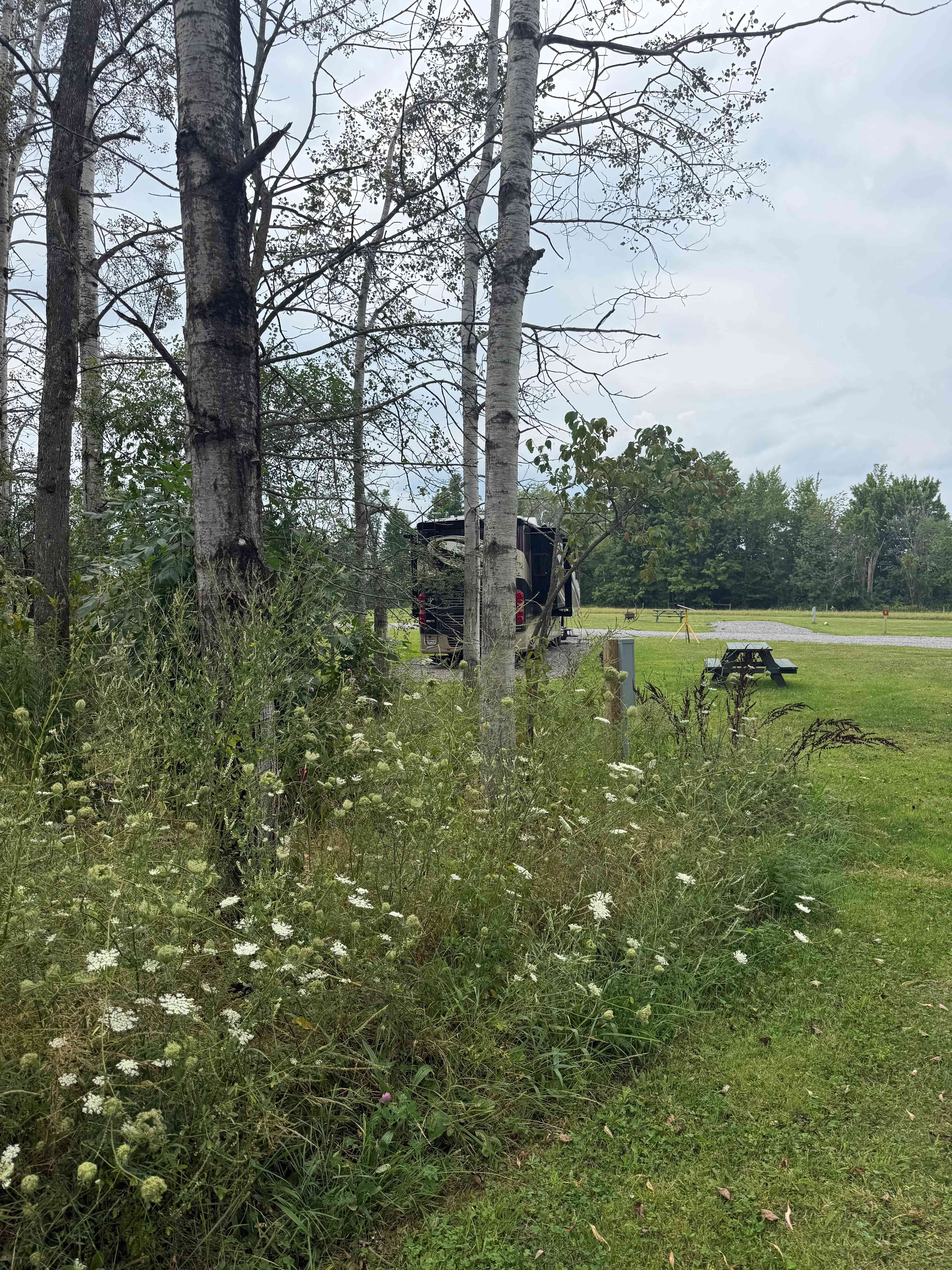 Back of site L