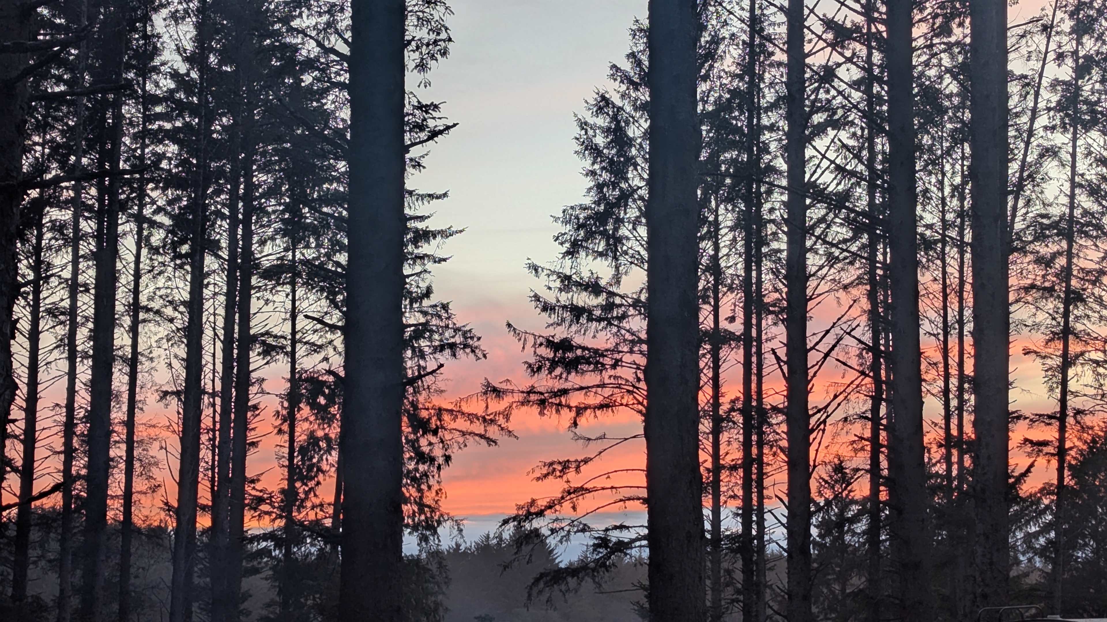 View from Site 40