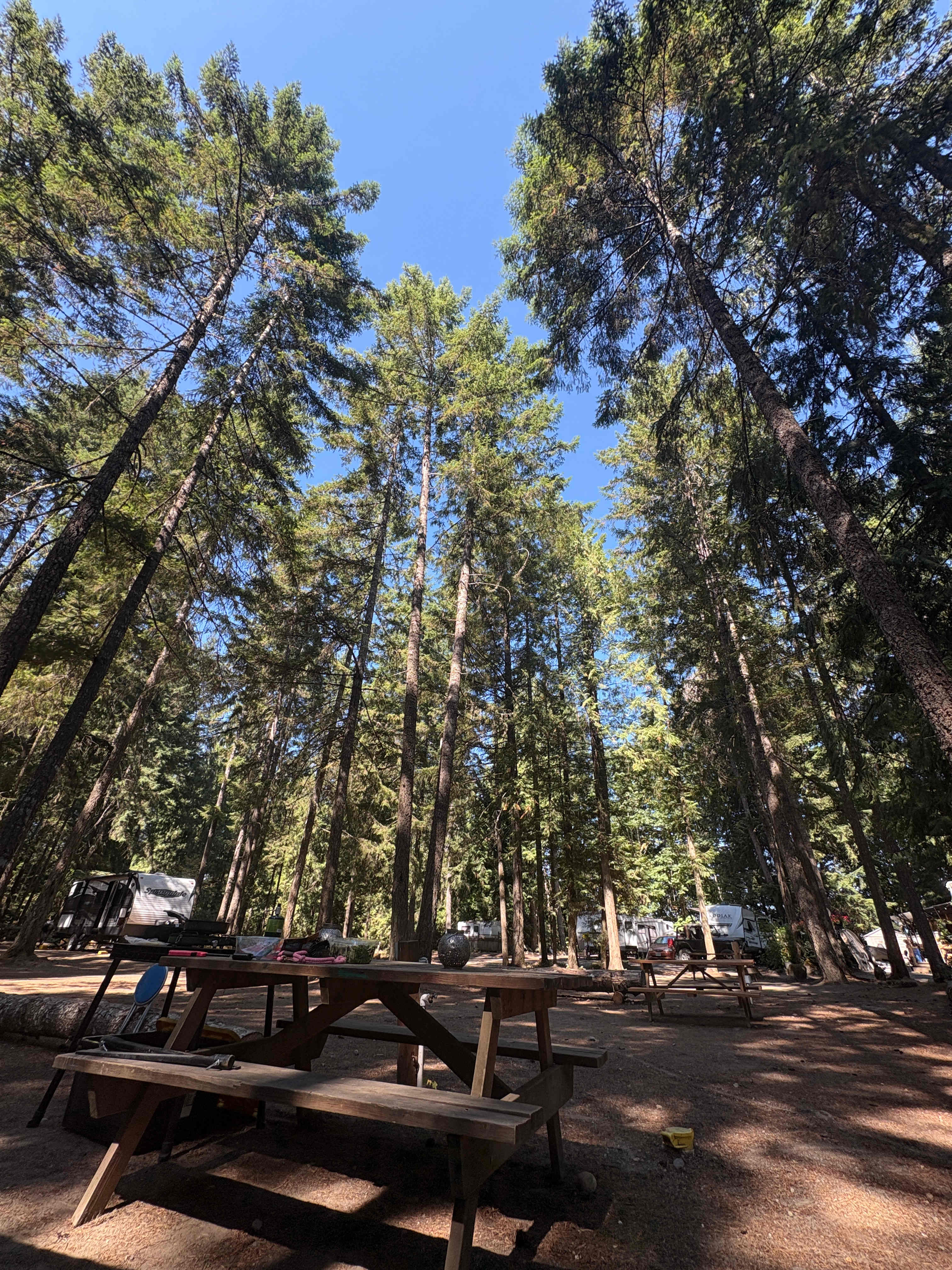 Mountainaire Campground and RV Park
