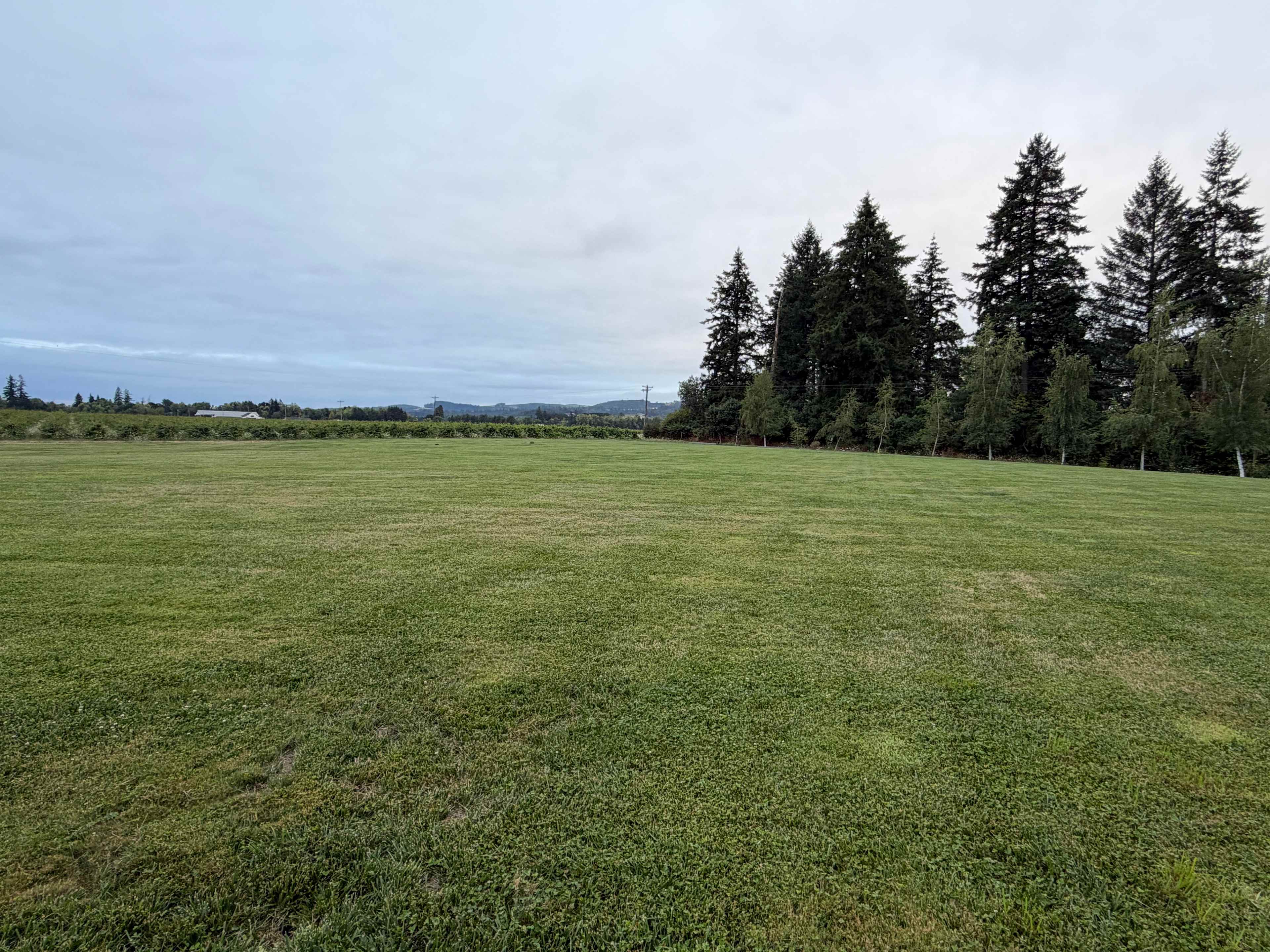 Dauenhauer Family Campground
