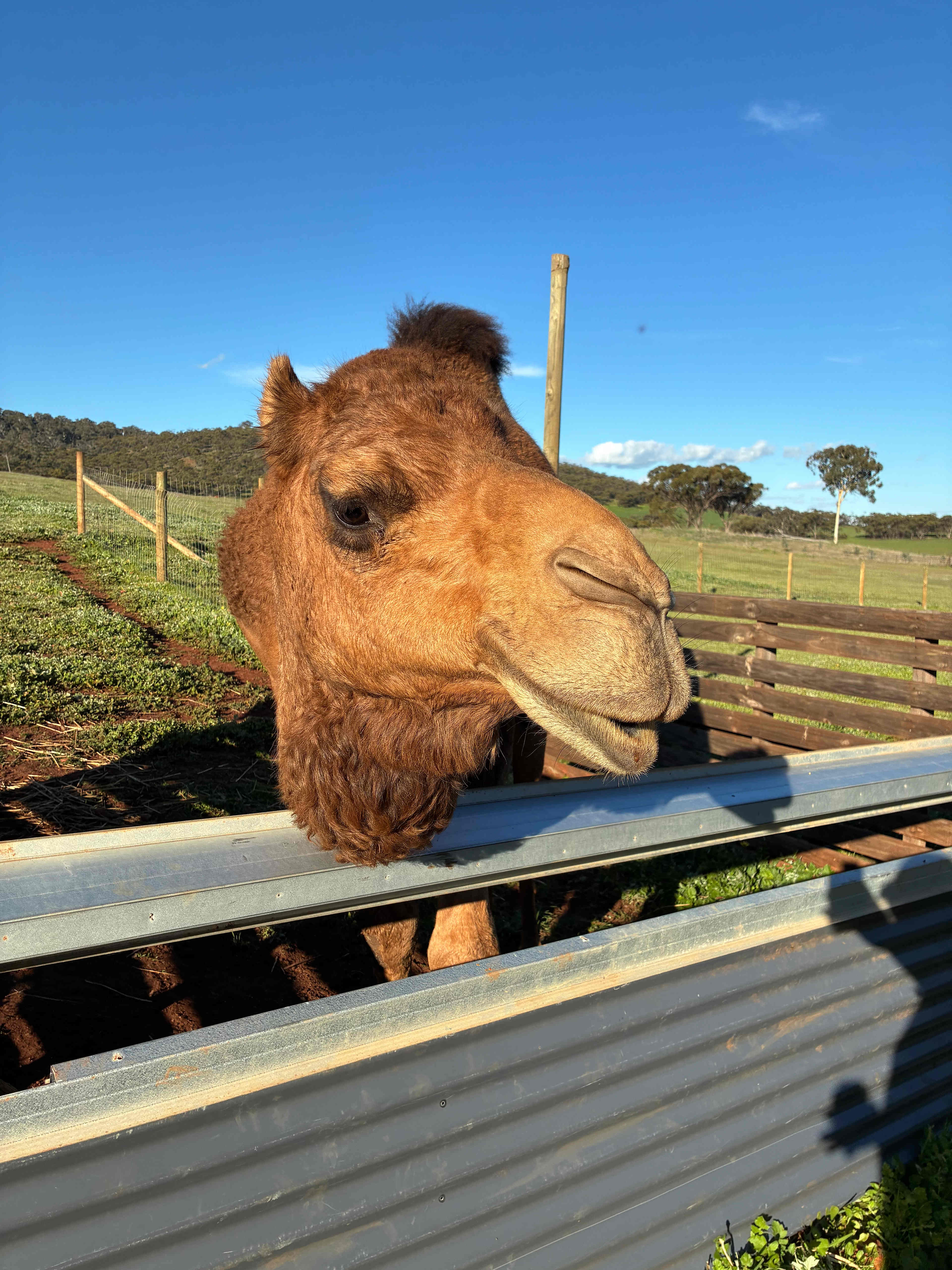 Sandalwood Downs  Farm Stay Toodyay