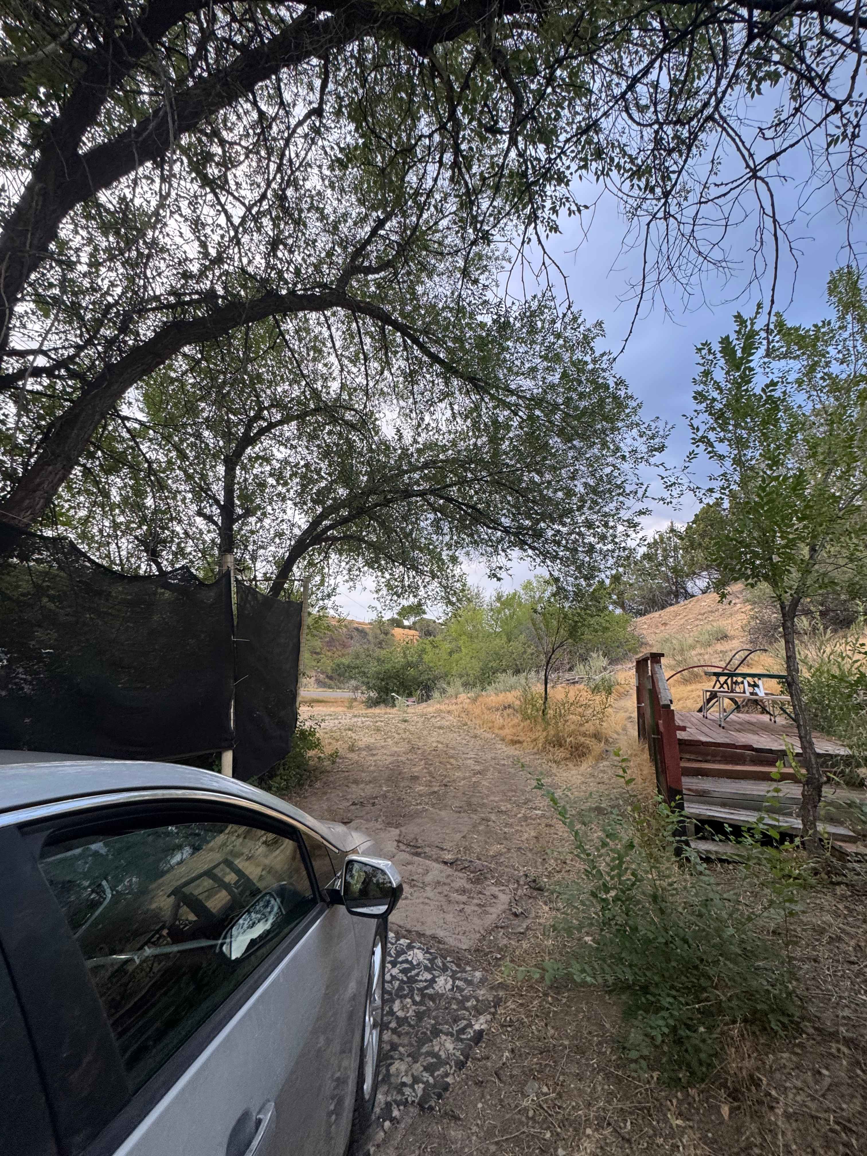 Picture of the site