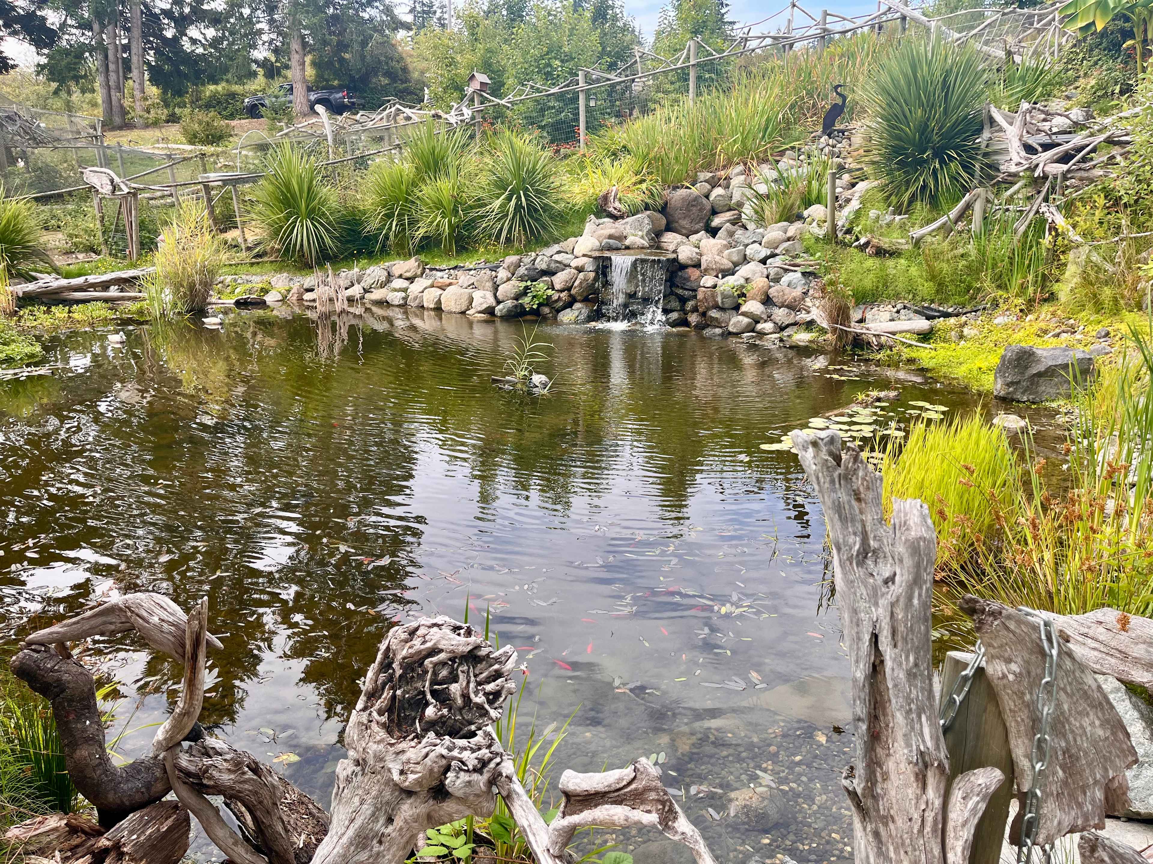 A Taste of Whidbey