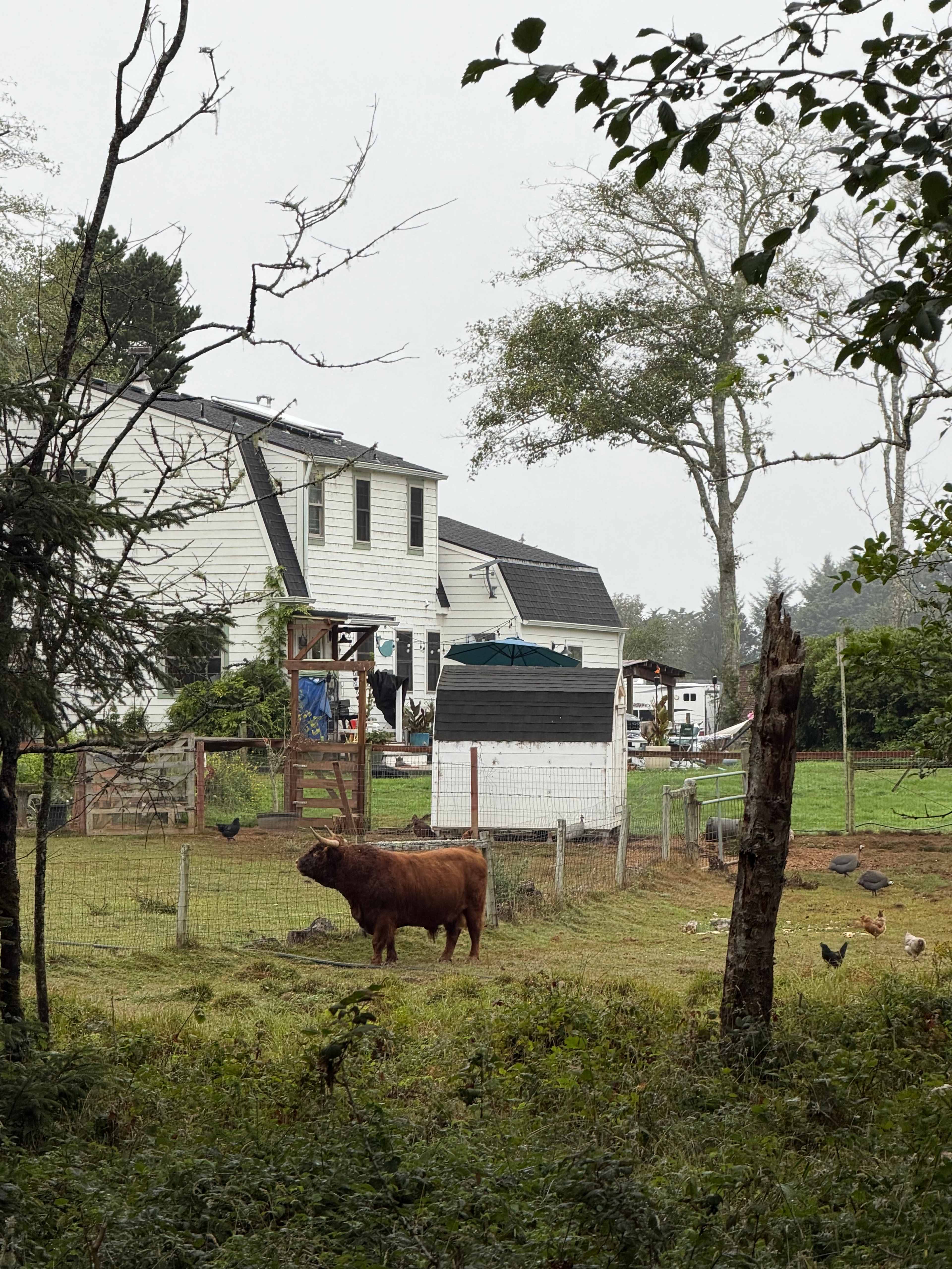 Coastal Forest Farm Camp
