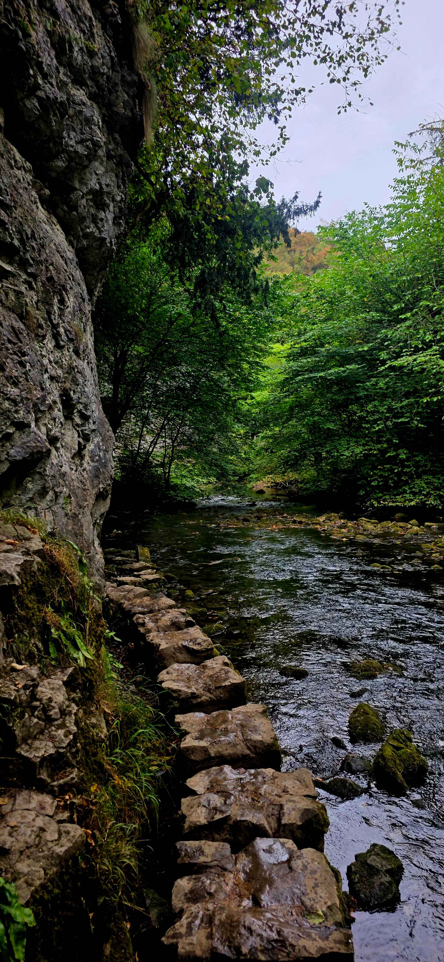 Local to chee Dale steps
