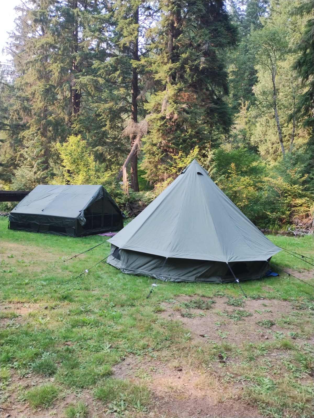 Nice big campsite good for the whole family