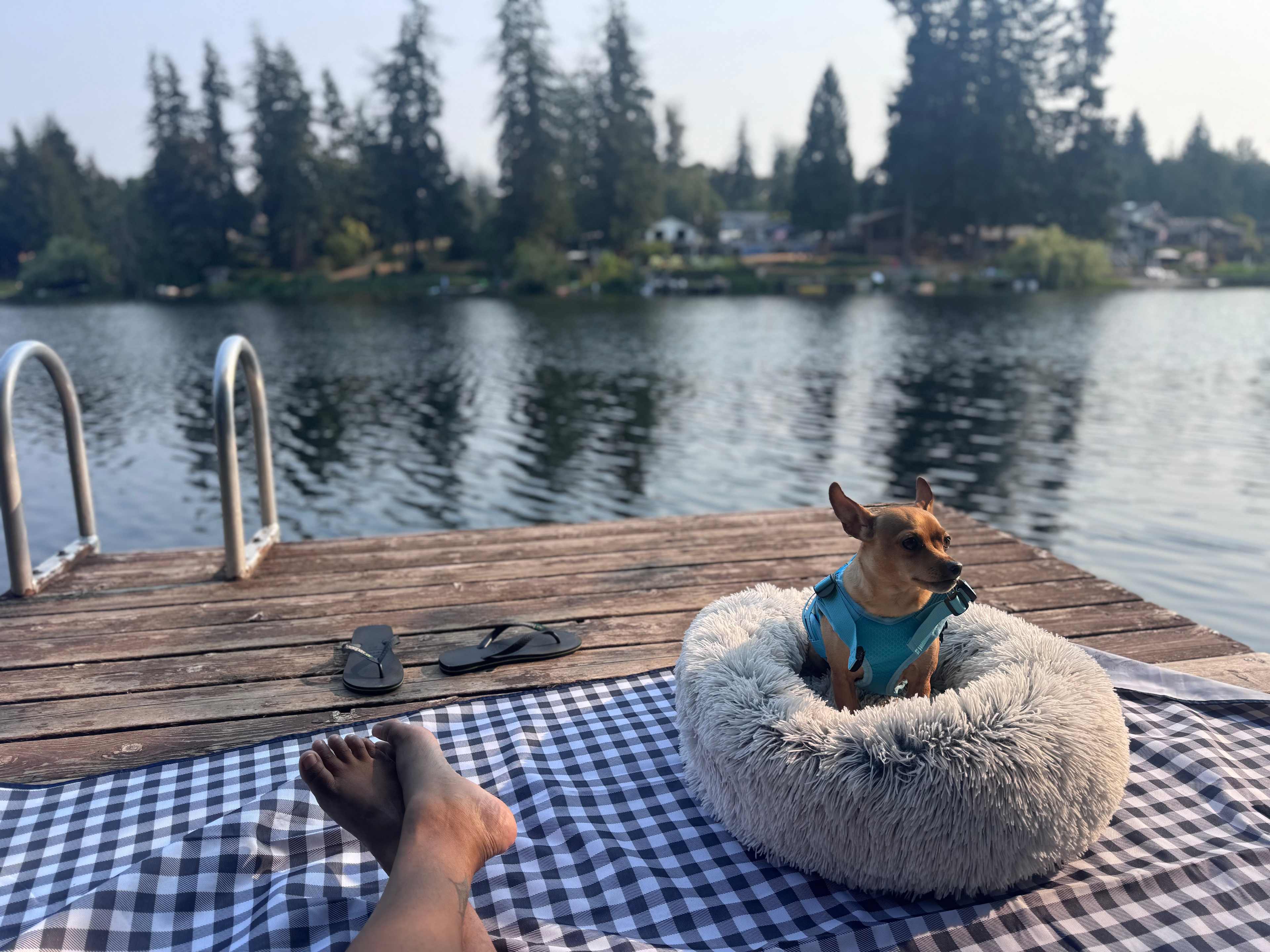 Pipe Lake Cabin