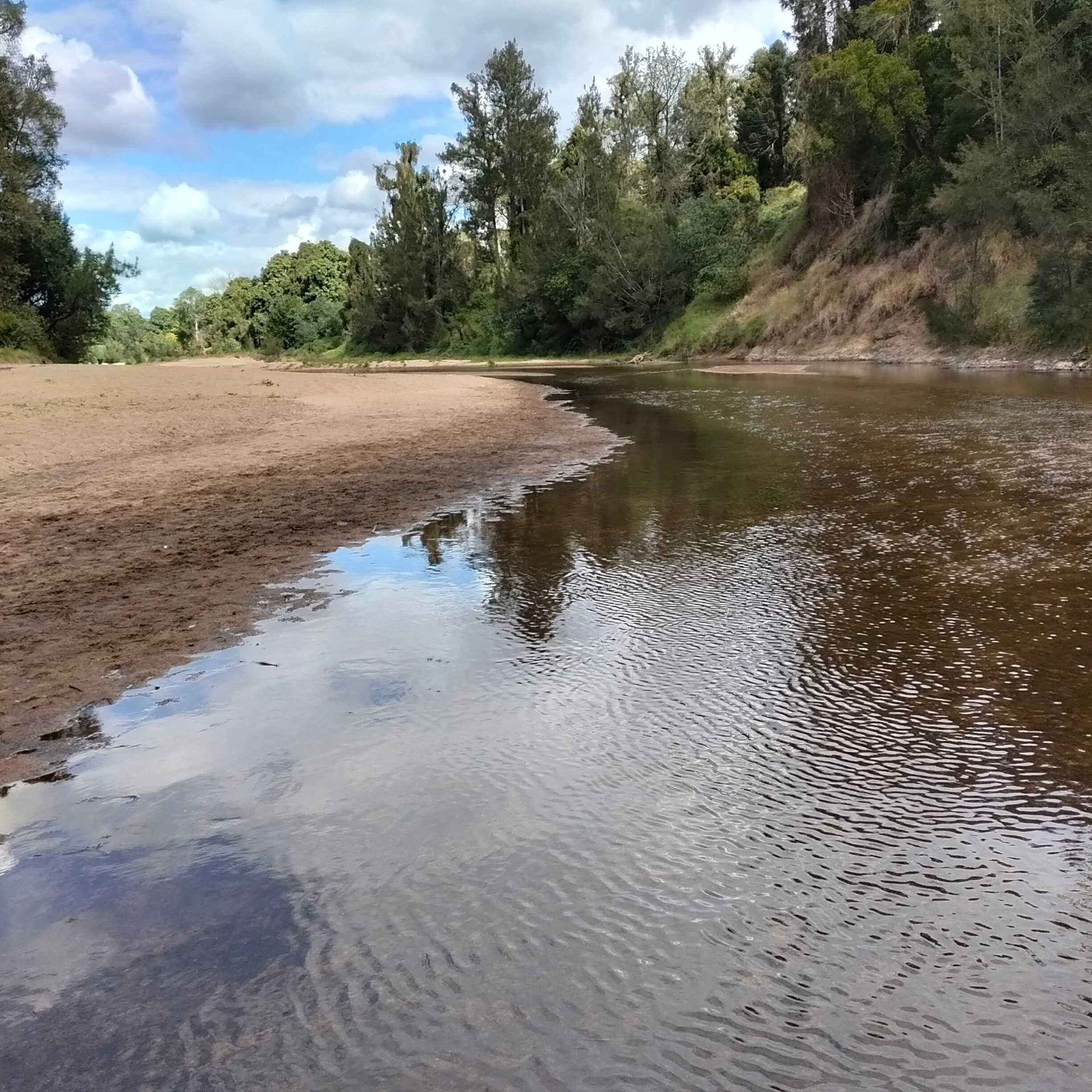 Kenilworth Camping