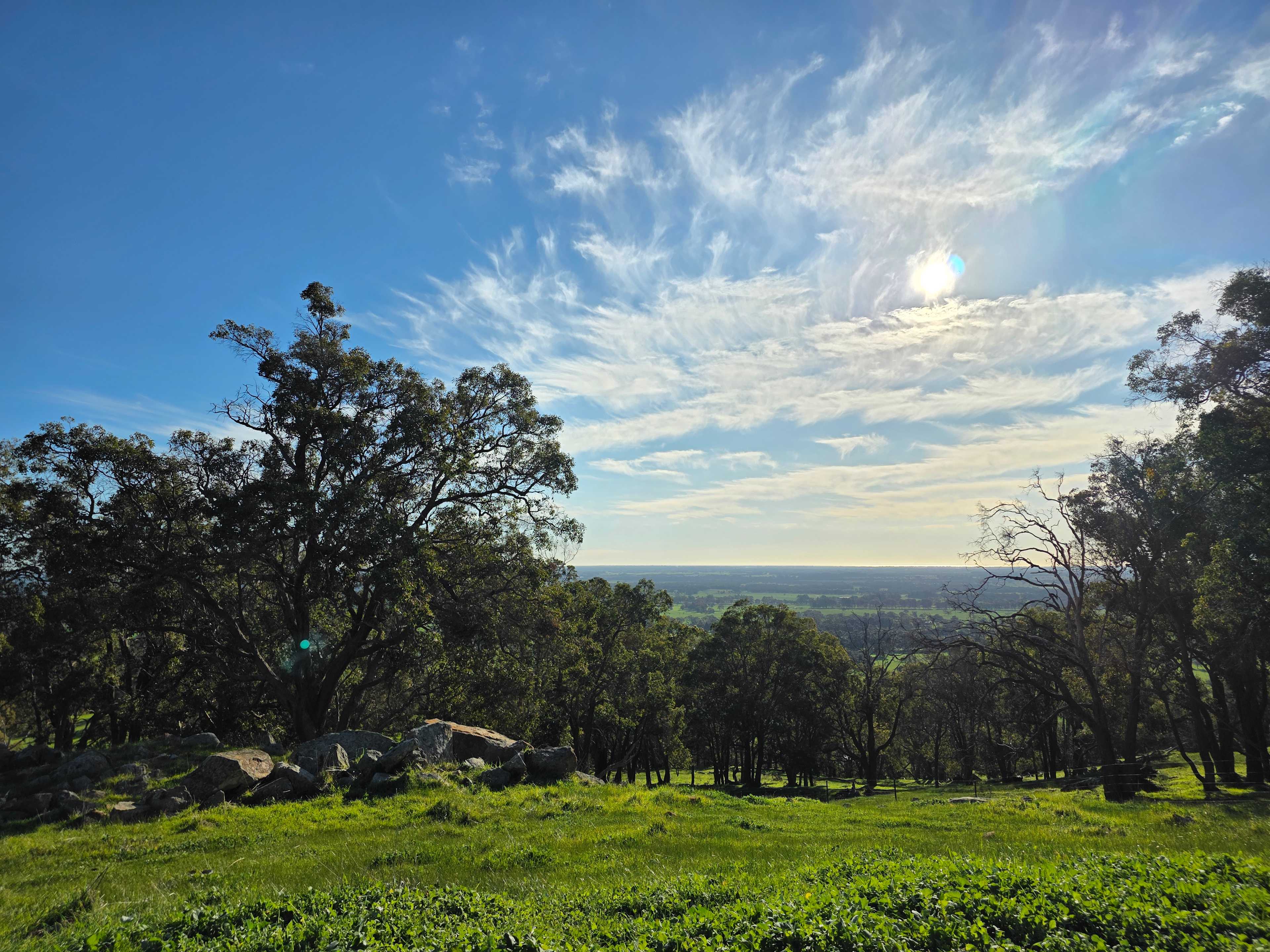 Jacaranda Hill Farm