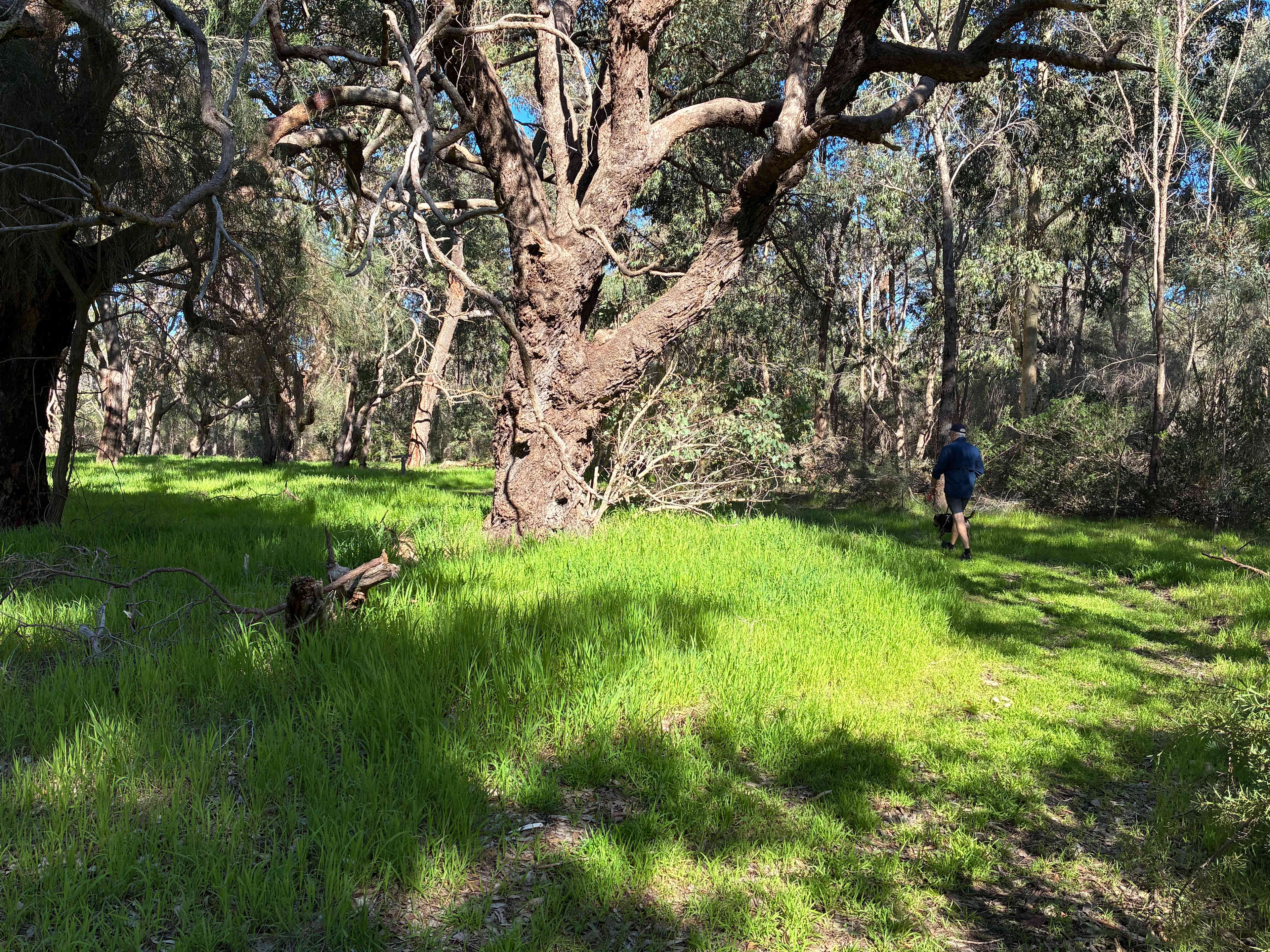 Rose’s Reserve