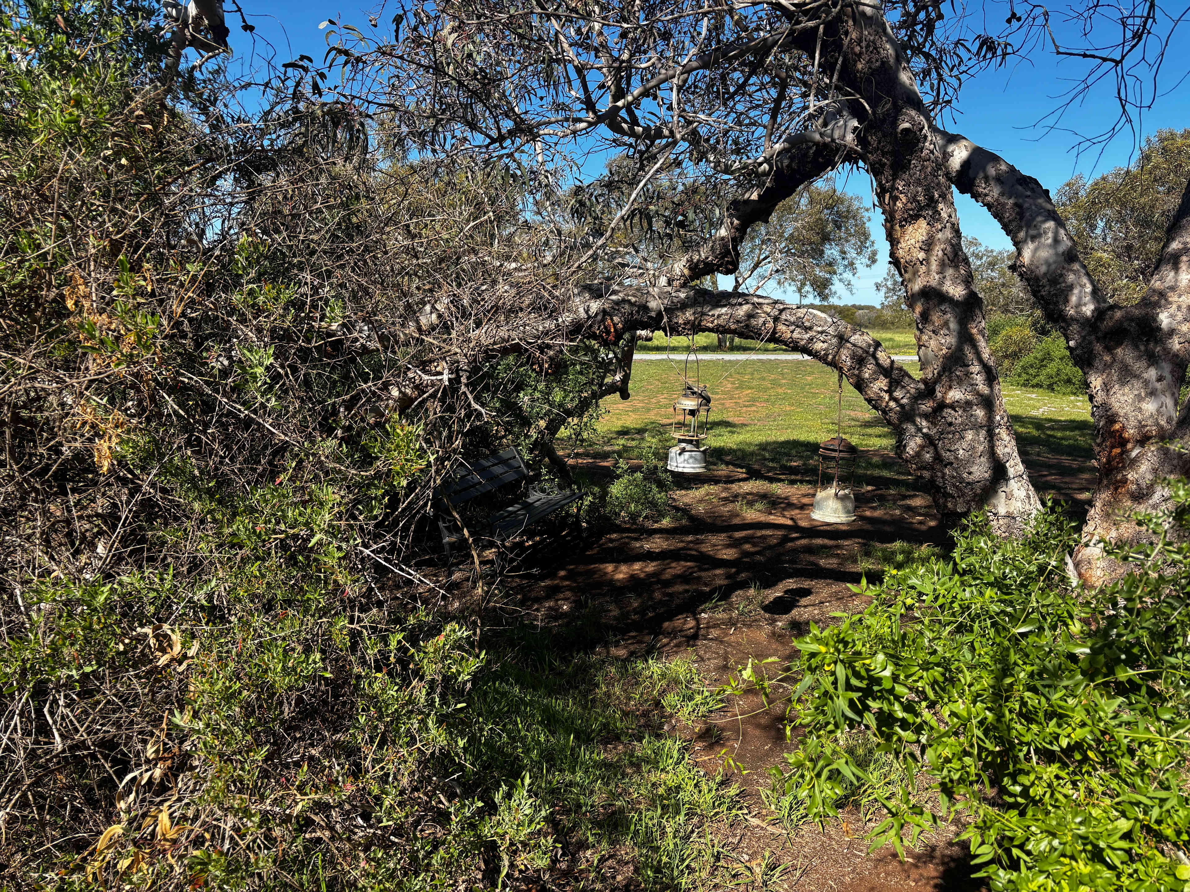 Melaleuca Hideaway