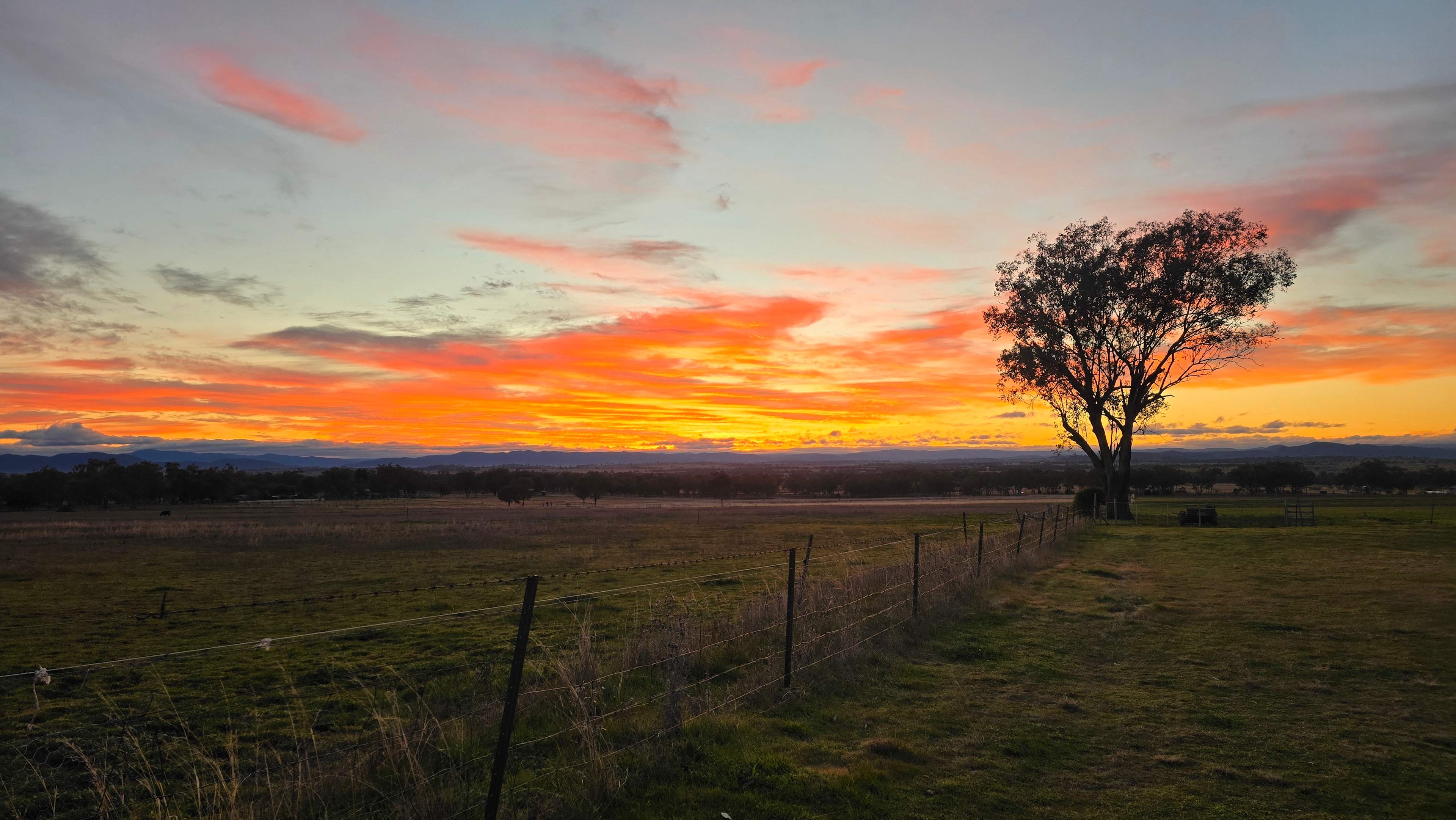 Ridleys Farm Stay