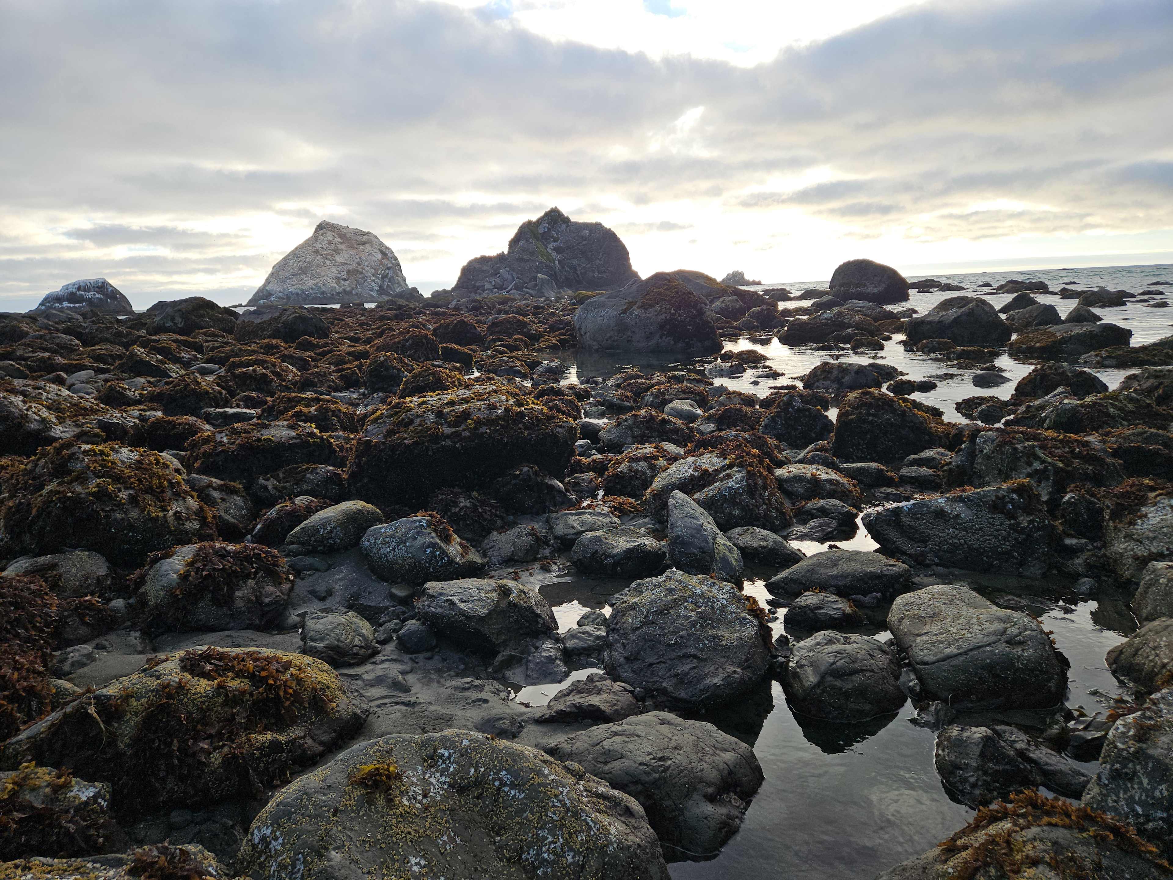 Beach less than two miles from campground, awesome tide pools & sunsets!